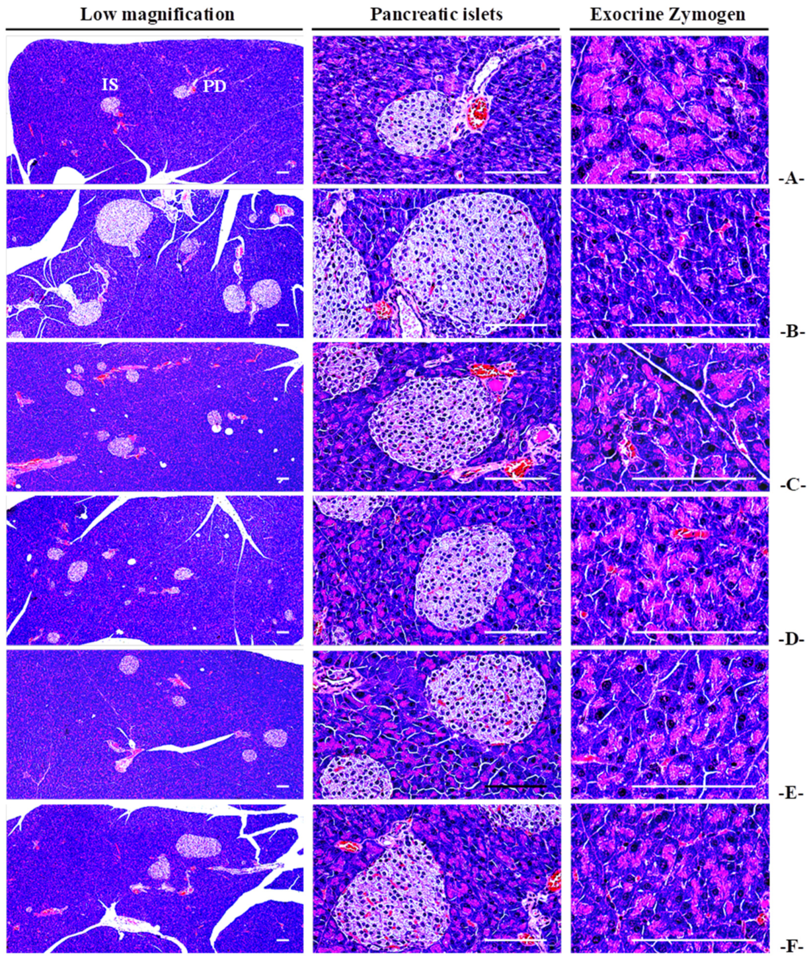 Antioxidants 13 00010 g003