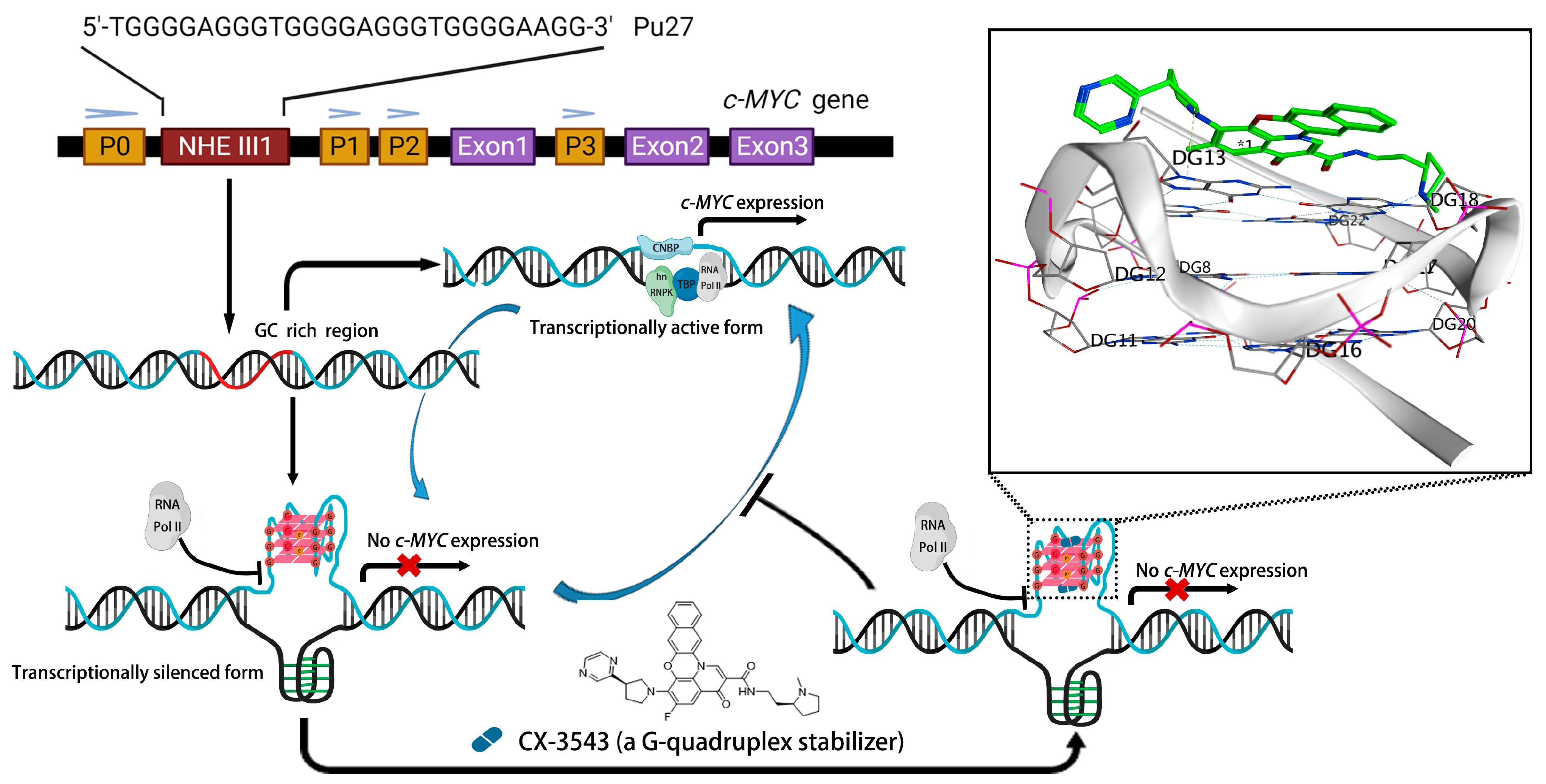 Antioxidants 13 00011 g001