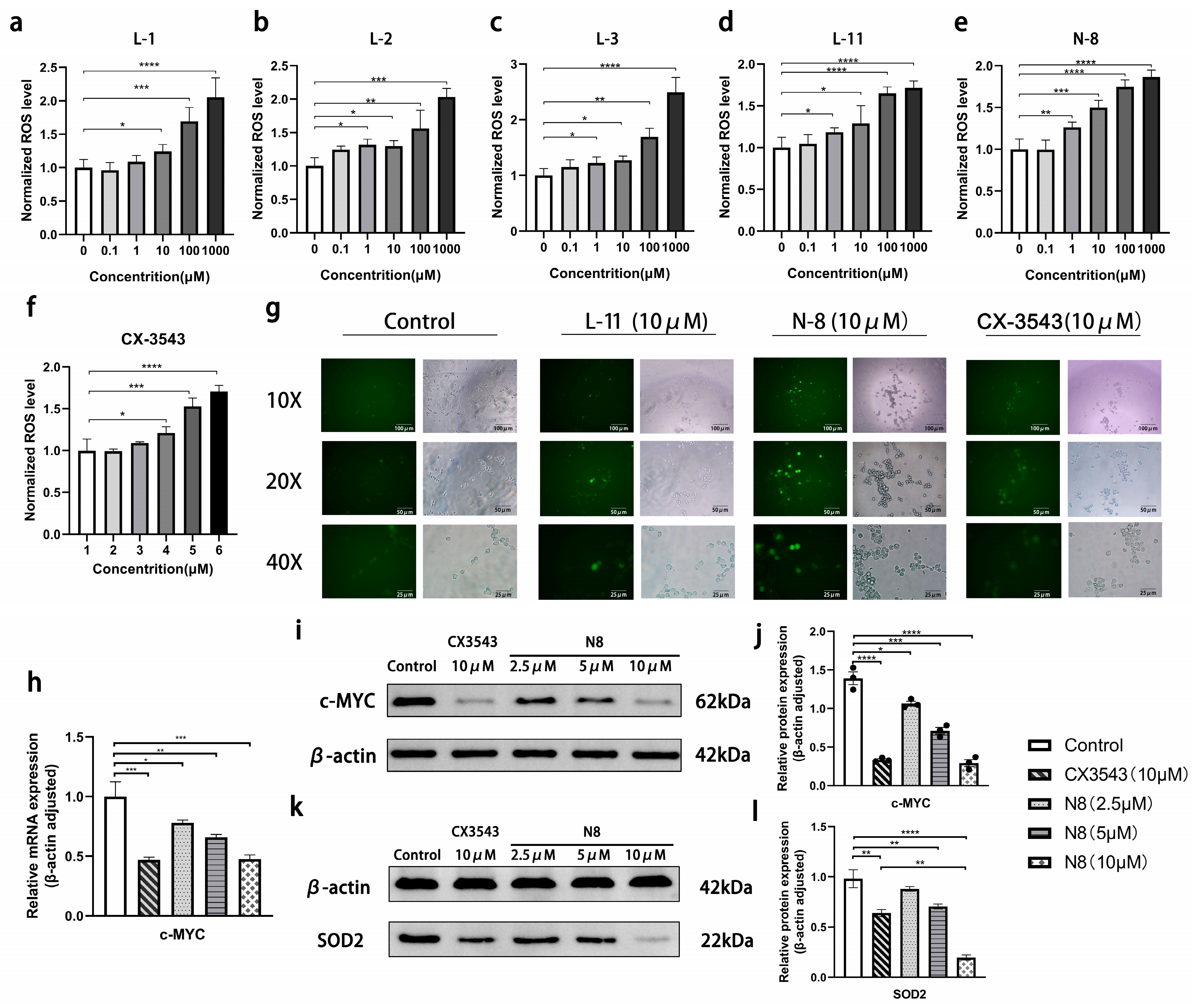Antioxidants 13 00011 g003