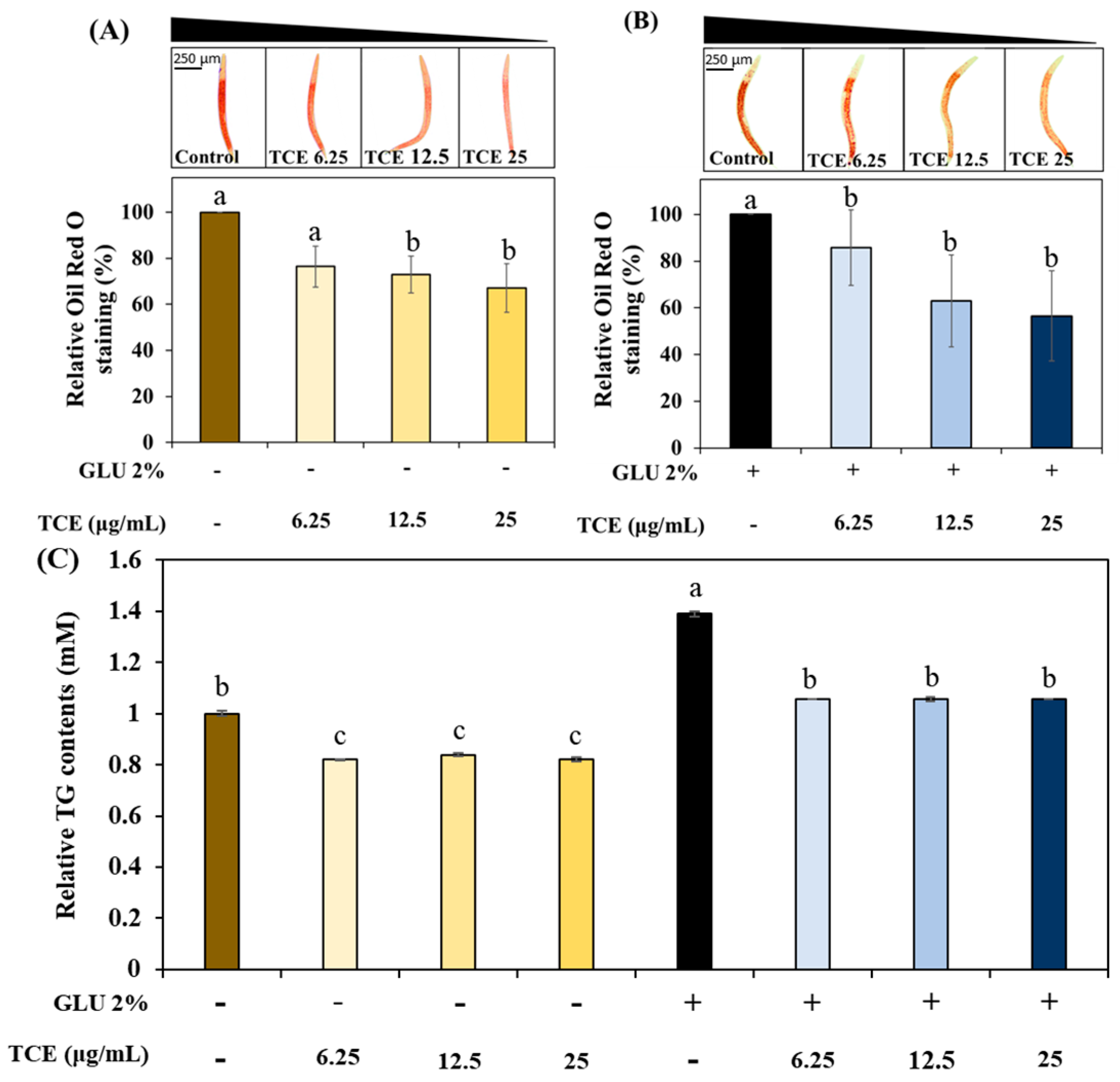 Antioxidants 13 00014 g003