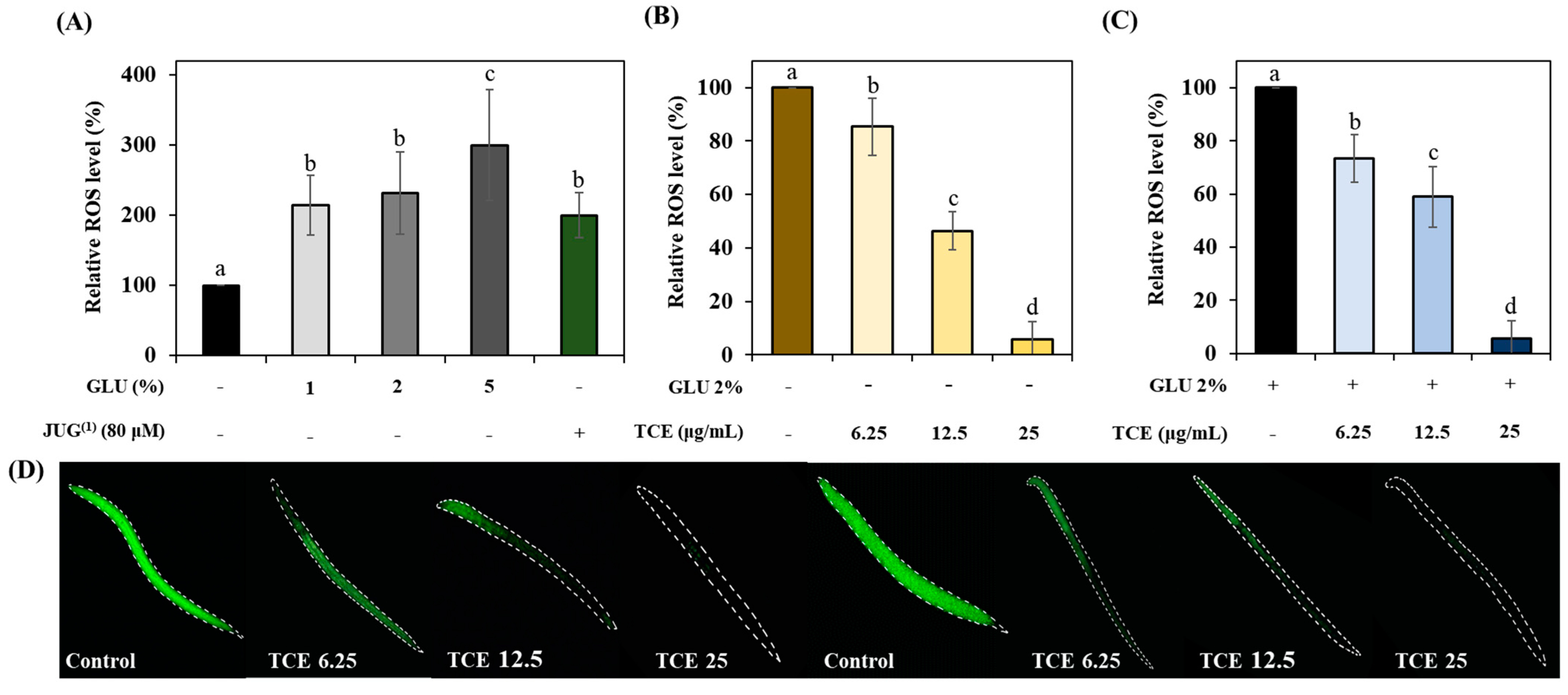 Antioxidants 13 00014 g005
