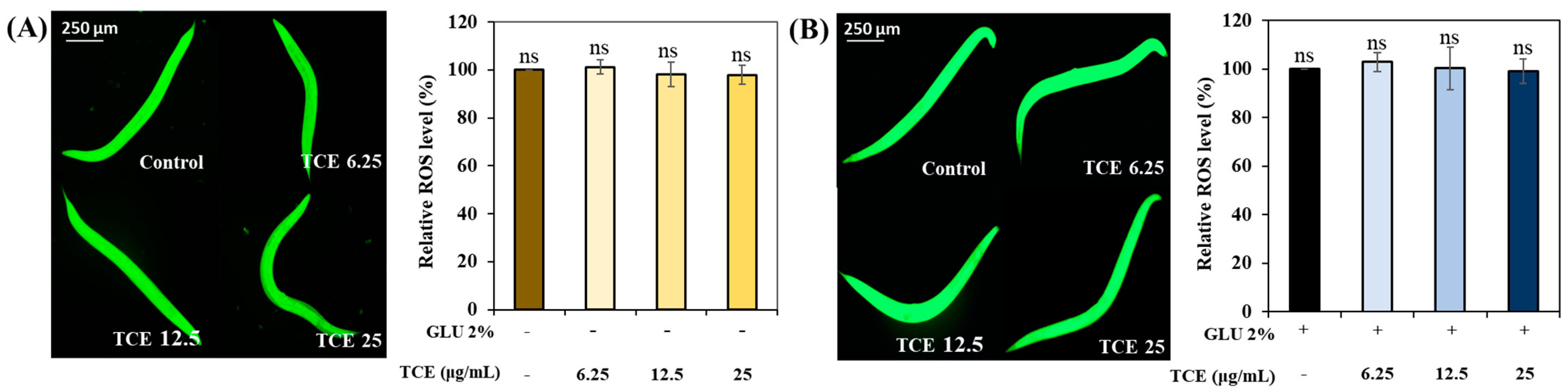 Antioxidants 13 00014 g008