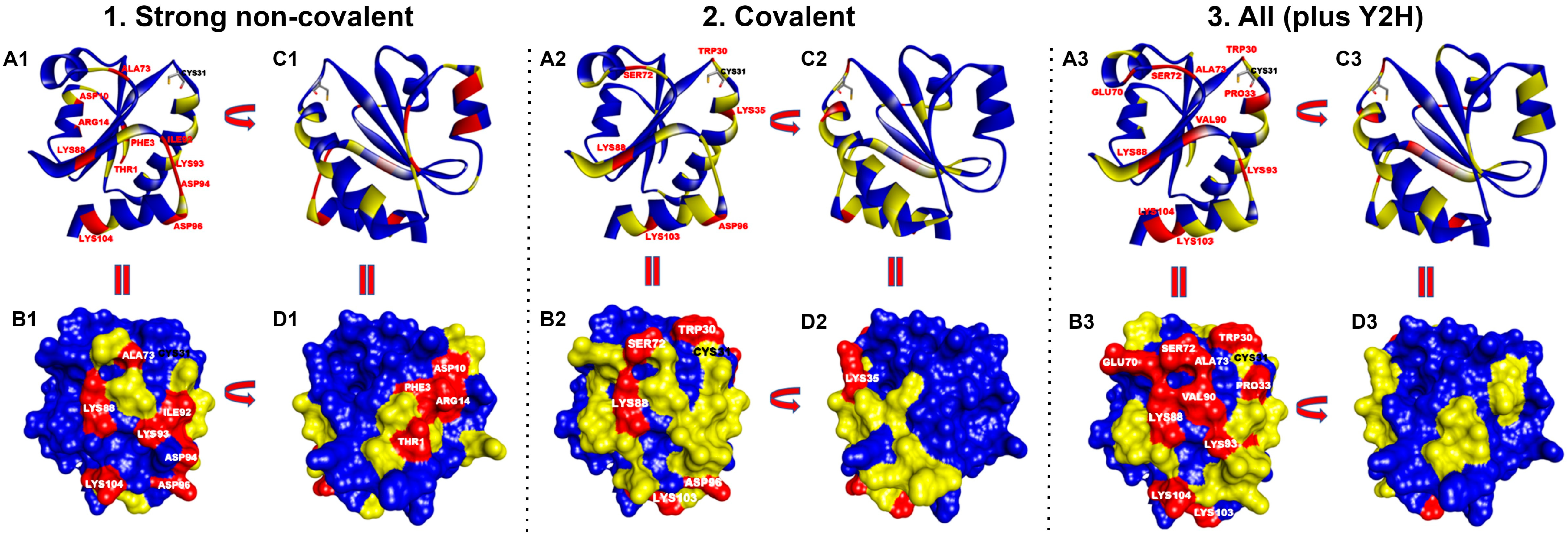 Antioxidants 13 00015 g002