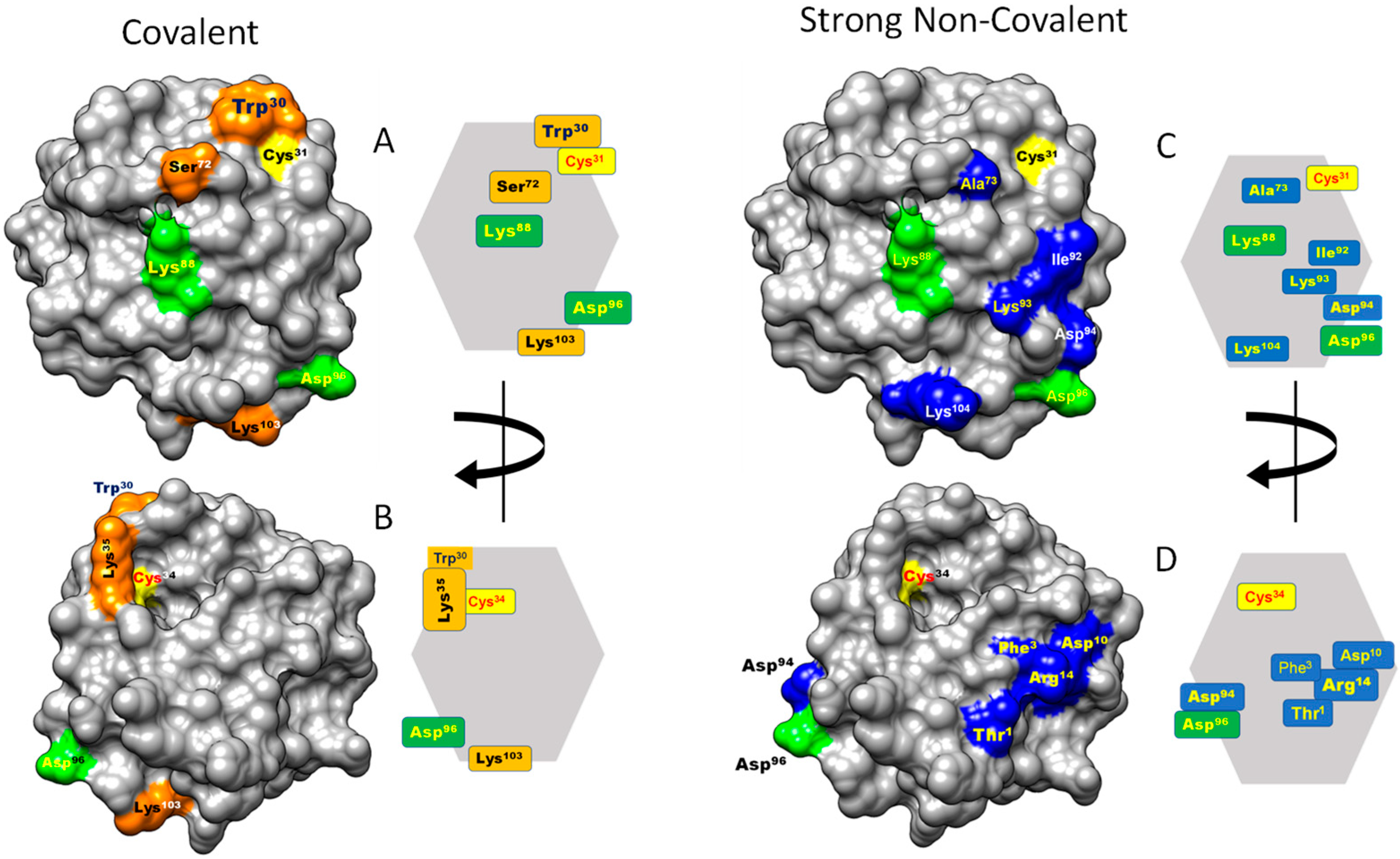 Antioxidants 13 00015 g004