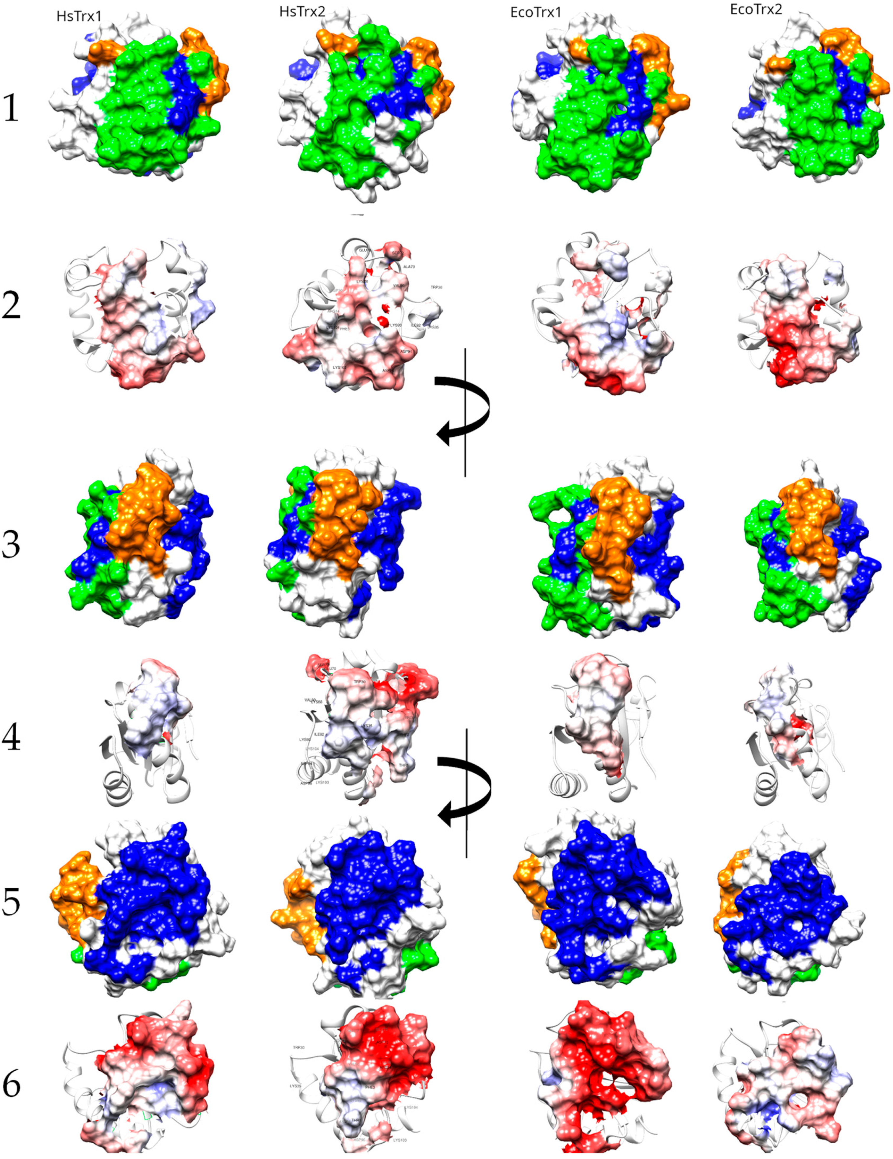 Antioxidants 13 00015 g009