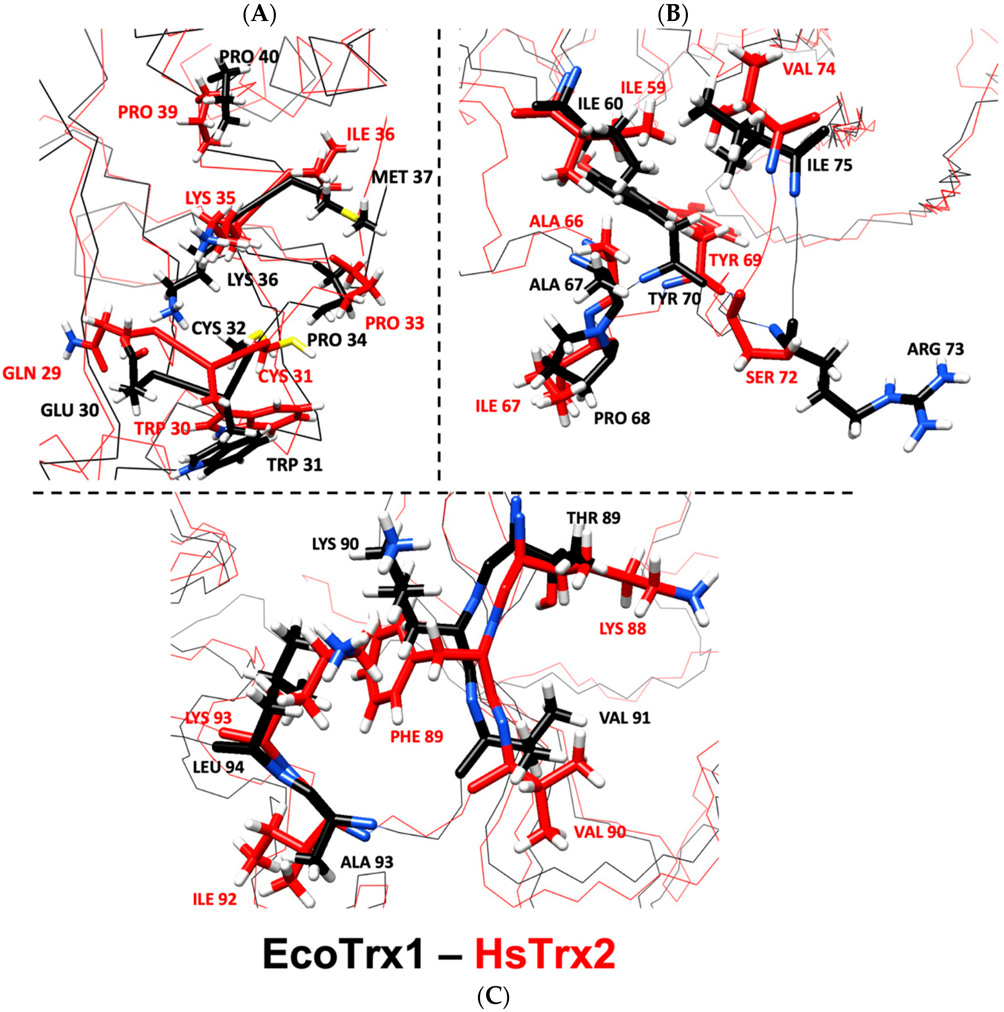 Antioxidants 13 00015 g011