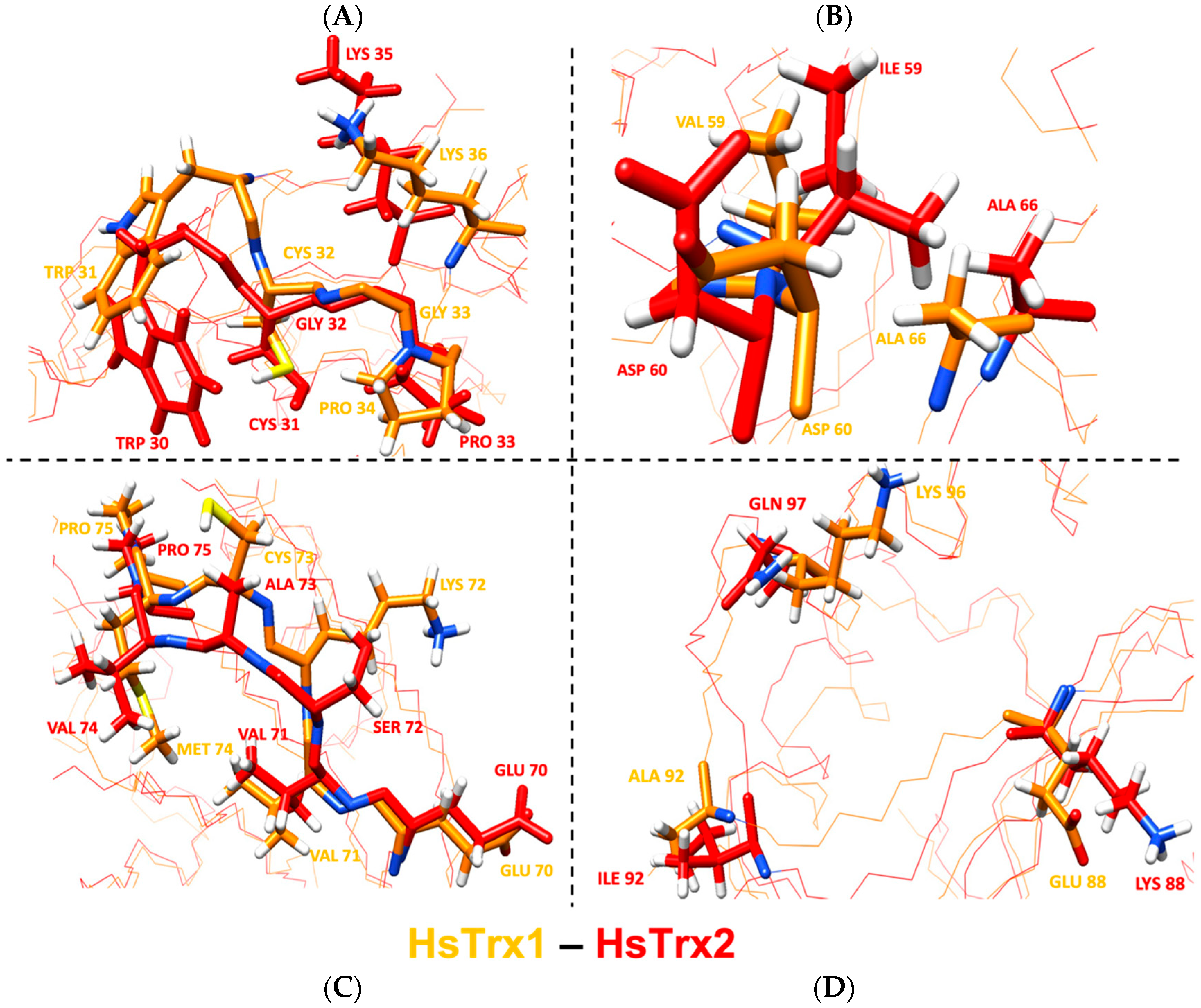 Antioxidants 13 00015 g012