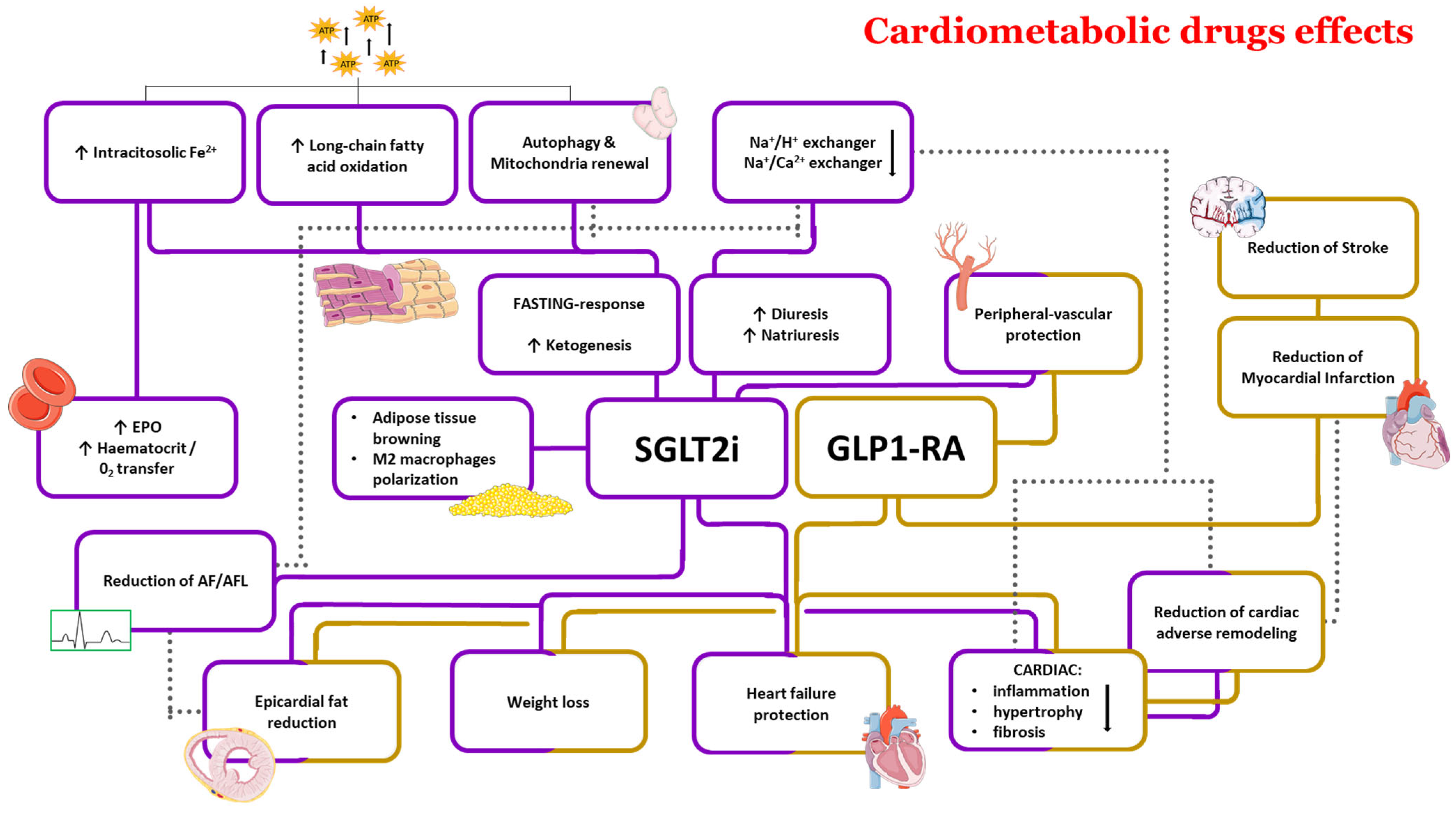 Antioxidants 13 00016 g001
