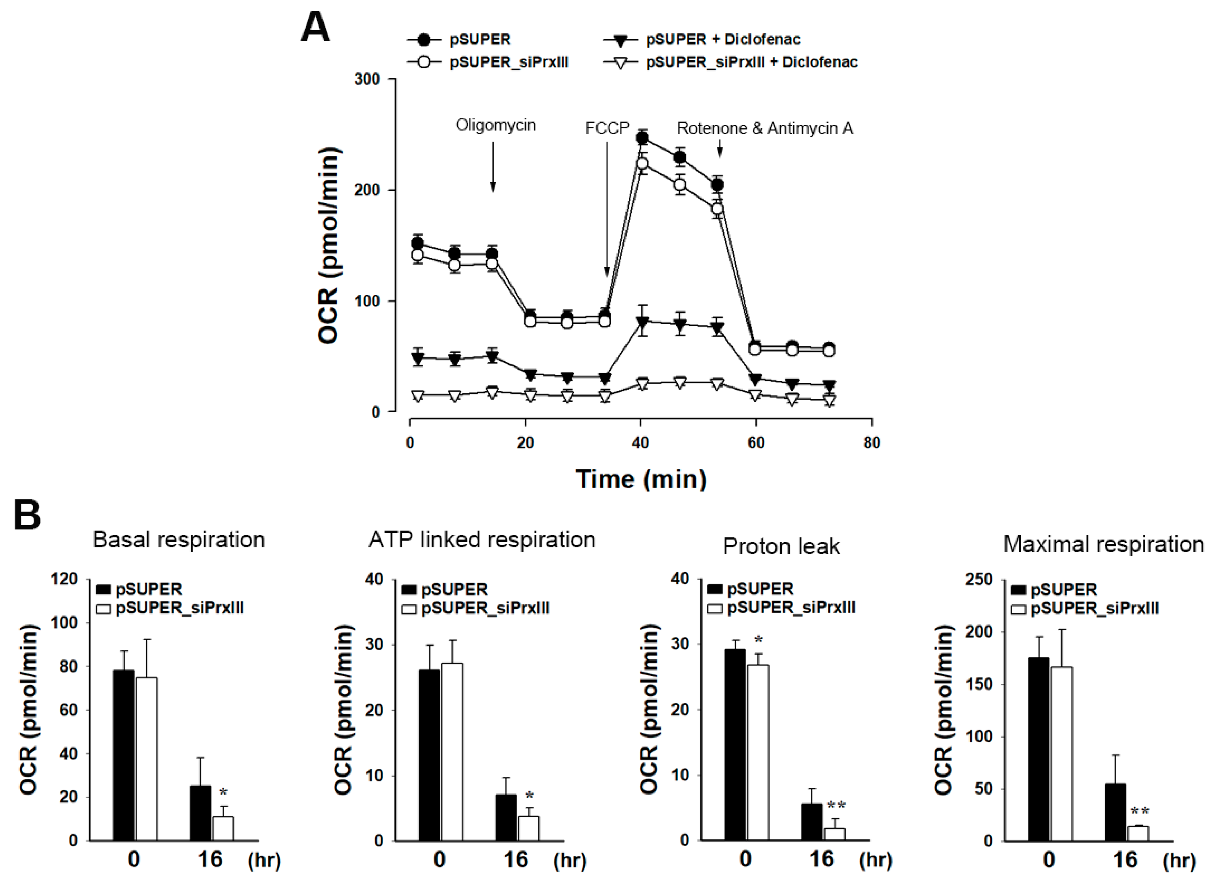 Antioxidants 13 00017 g003