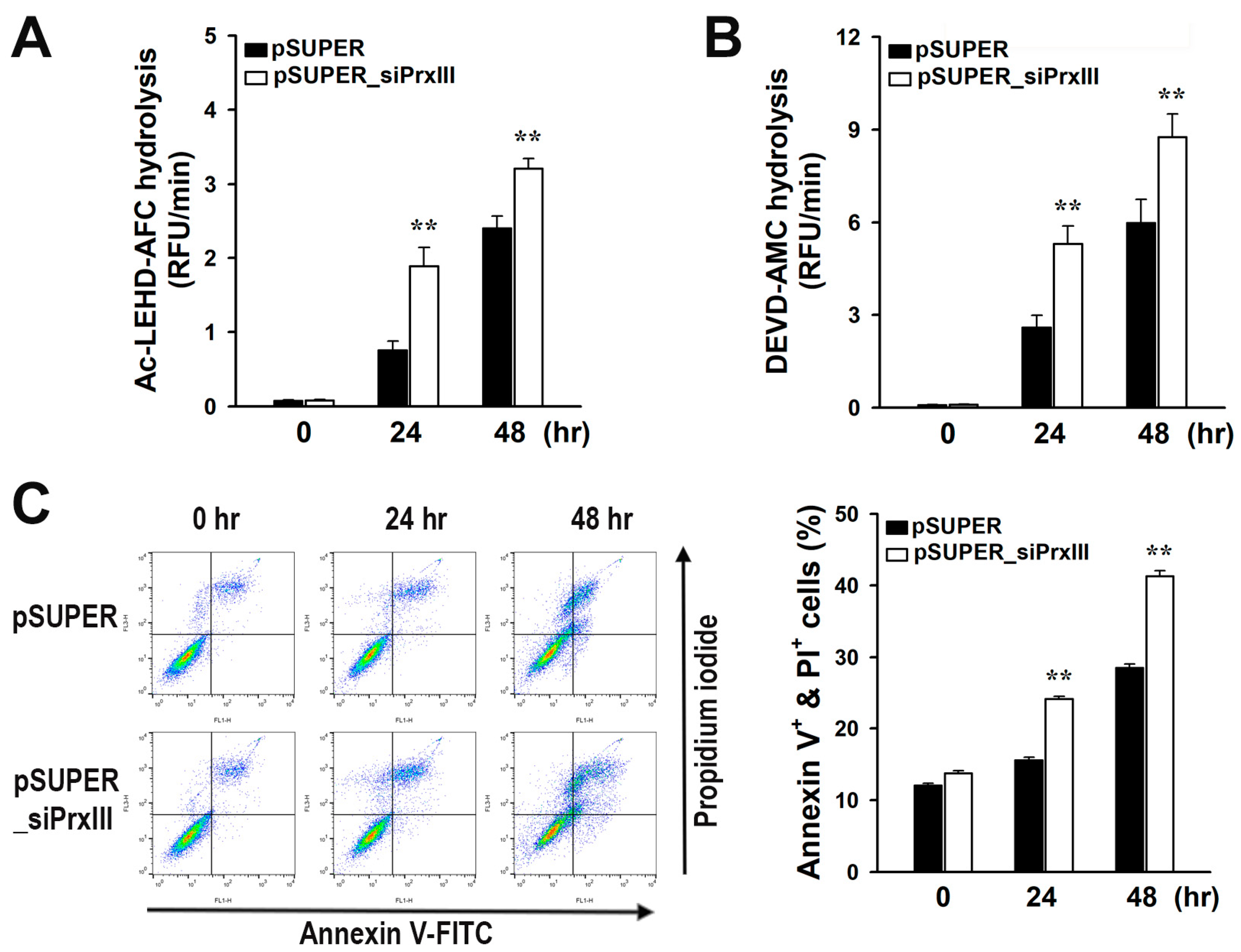 Antioxidants 13 00017 g004