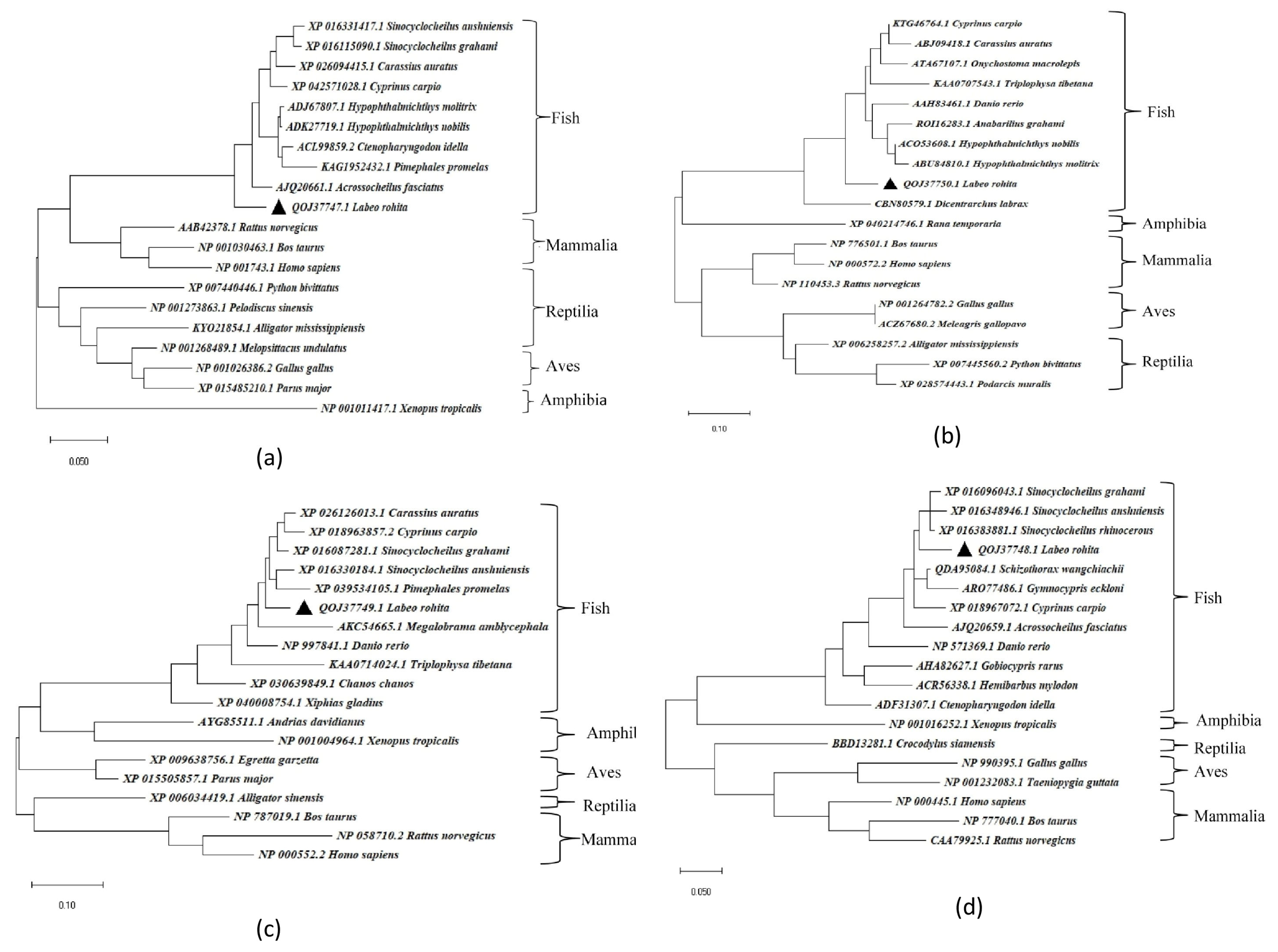 Antioxidants 13 00018 g001
