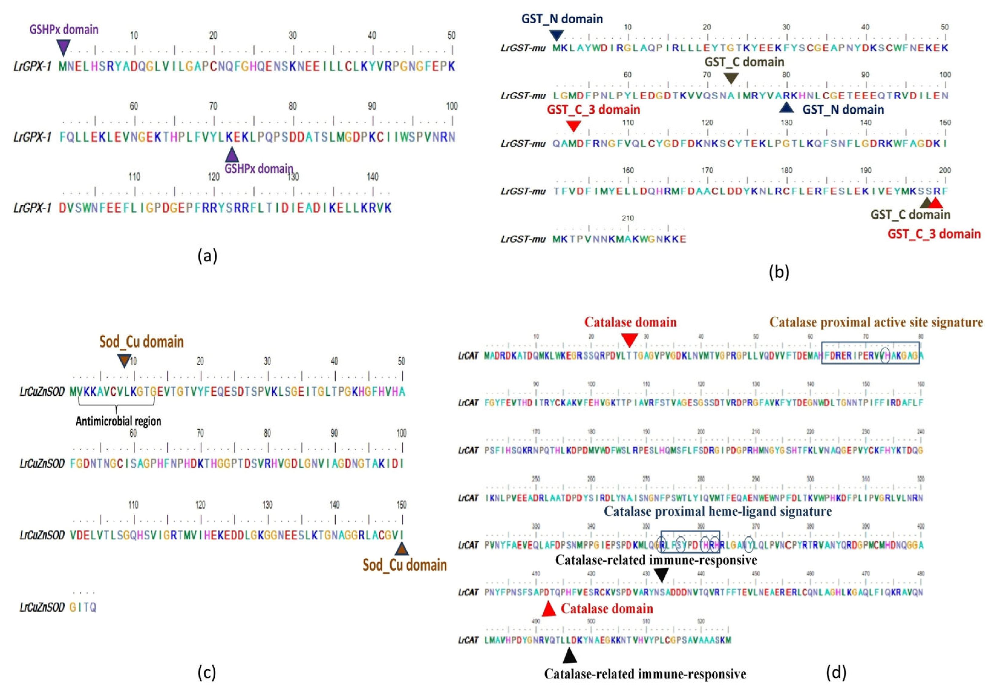 Antioxidants 13 00018 g002