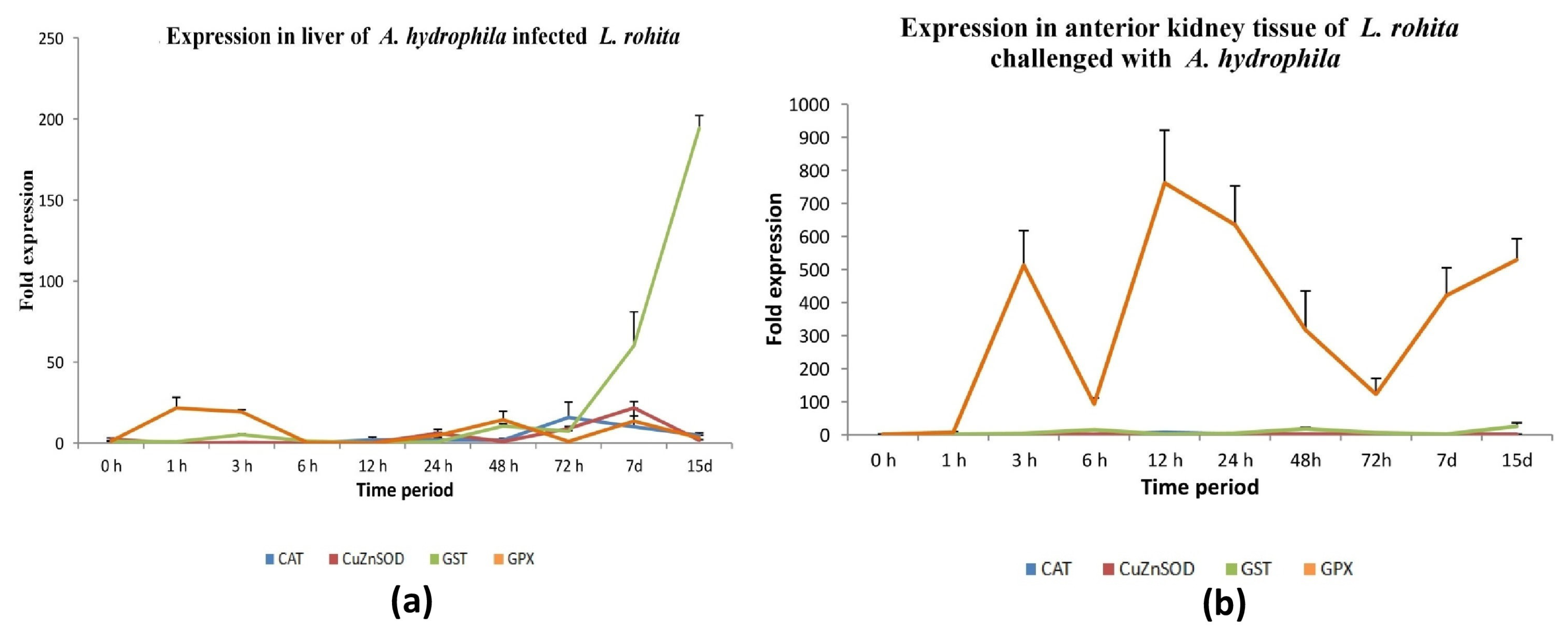 Antioxidants 13 00018 g005