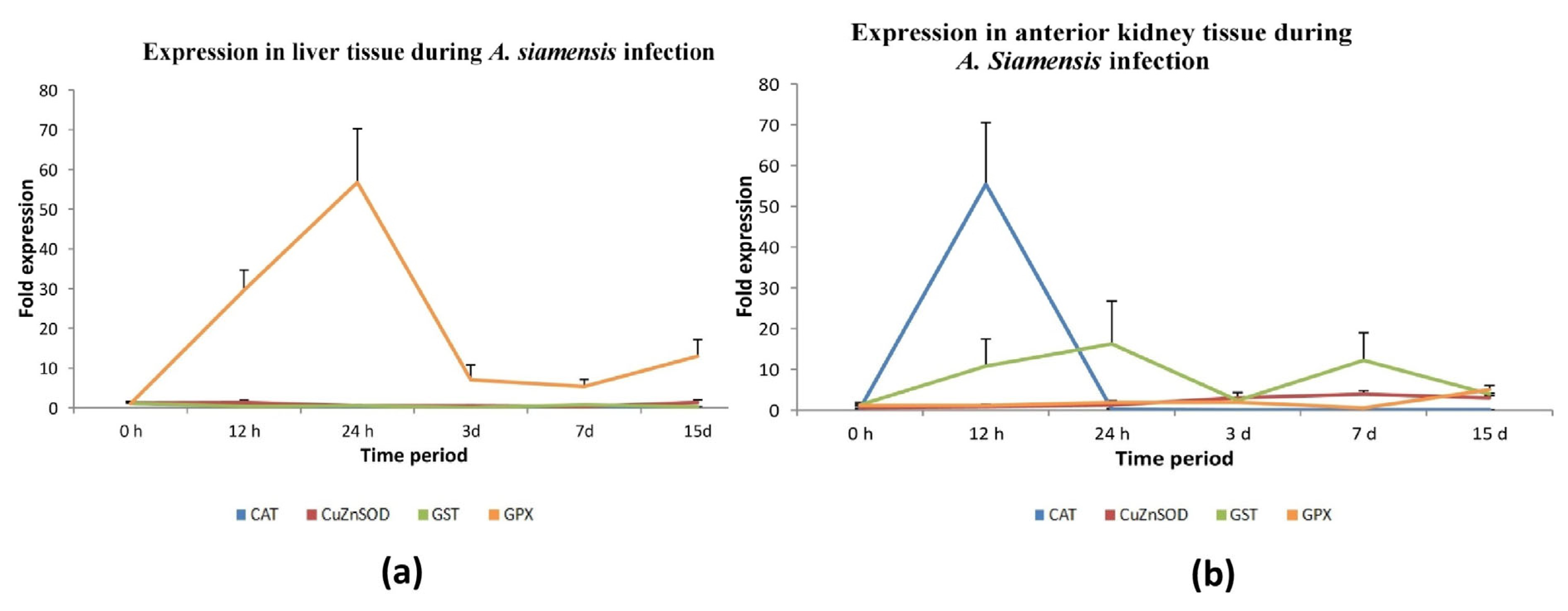 Antioxidants 13 00018 g006