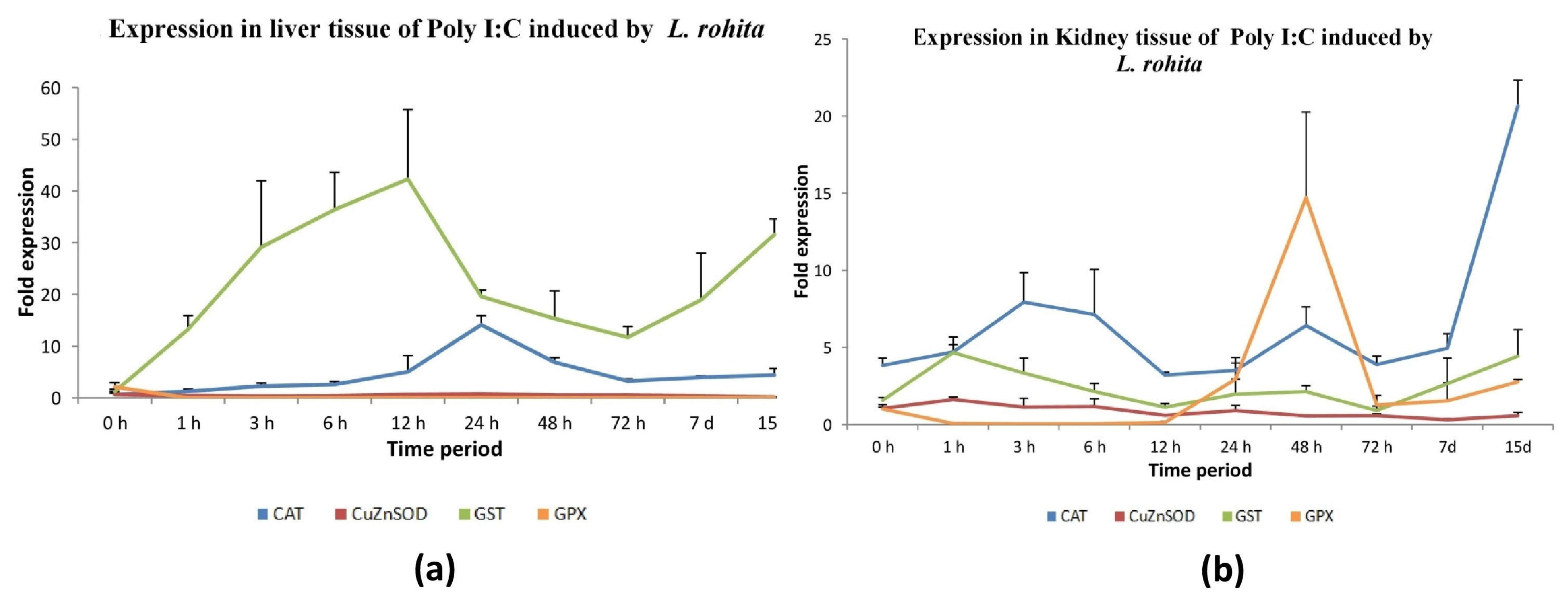Antioxidants 13 00018 g007