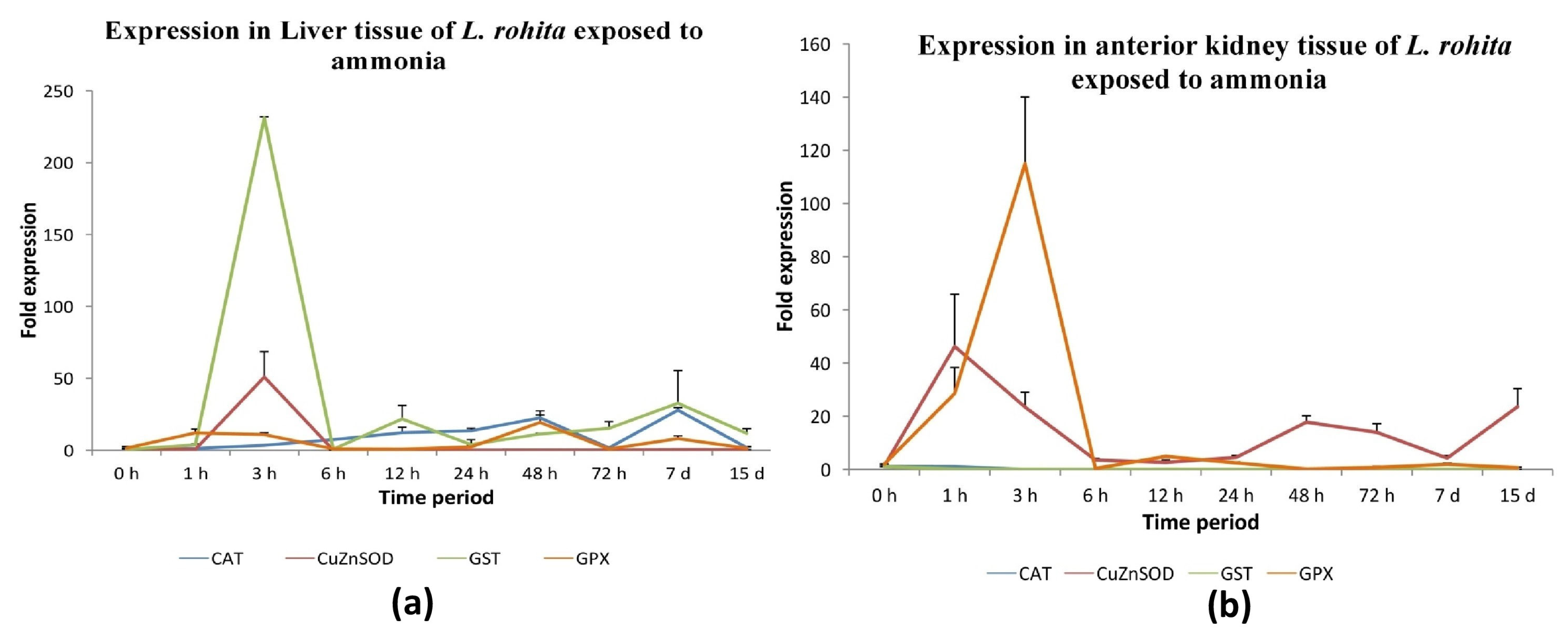 Antioxidants 13 00018 g008