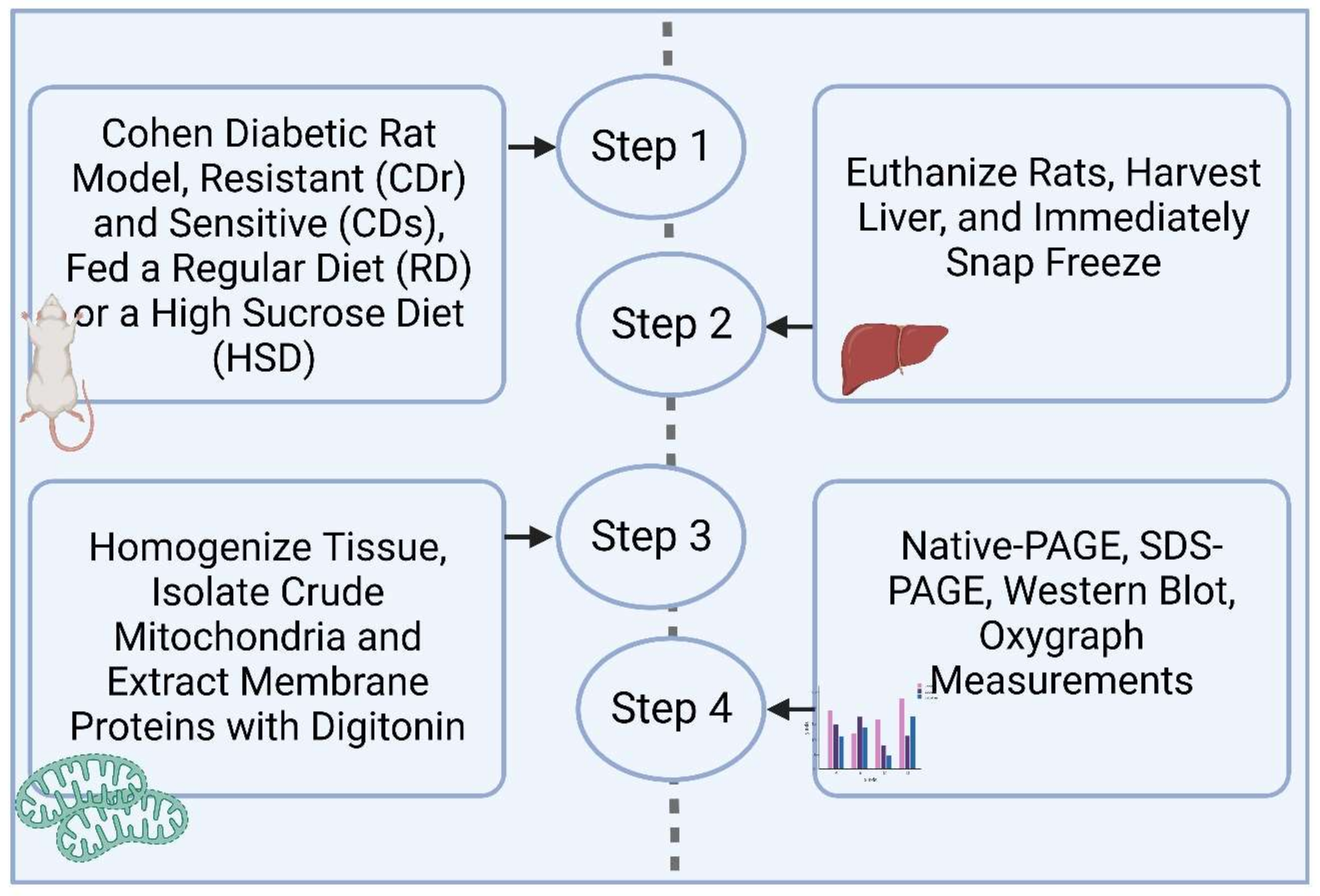 Antioxidants 13 00019 g001