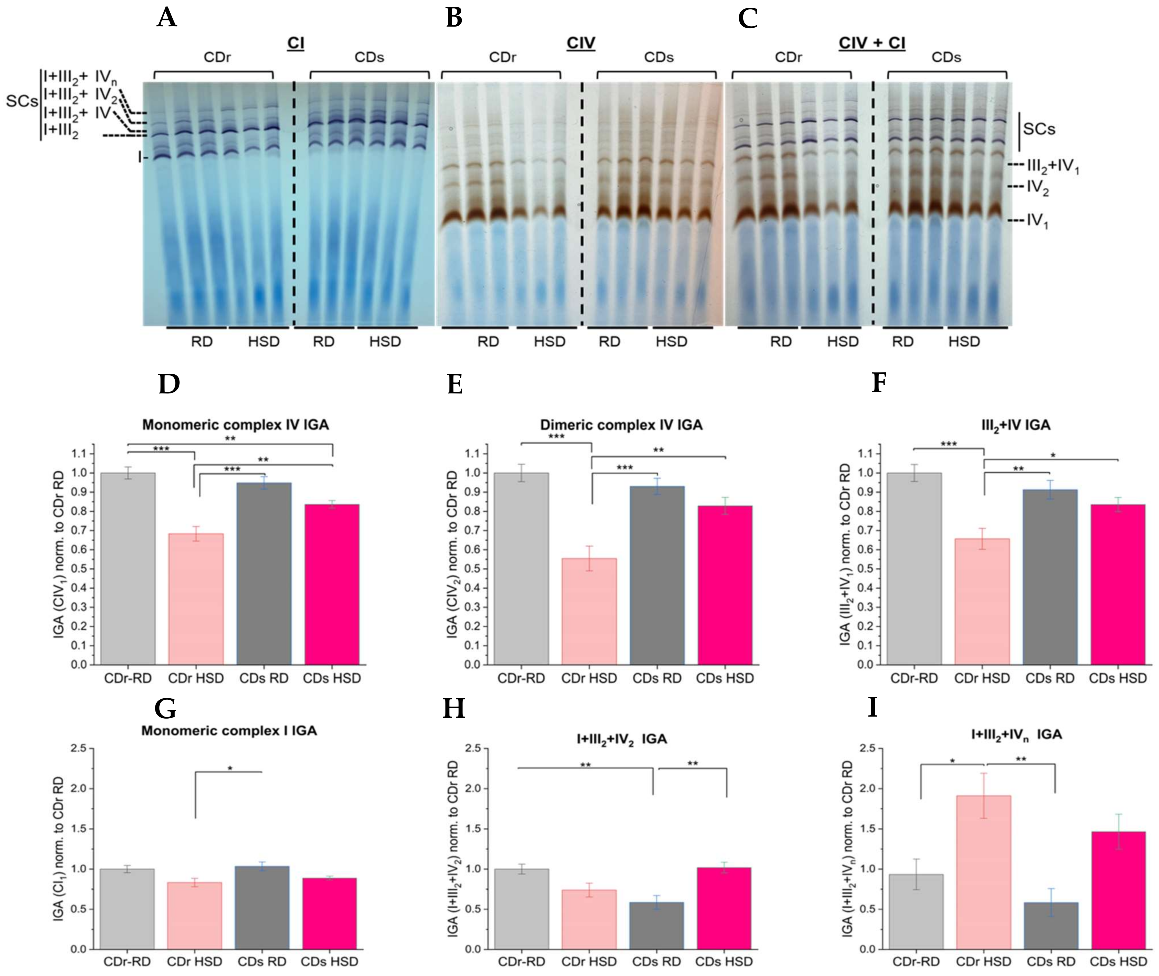 Antioxidants 13 00019 g003