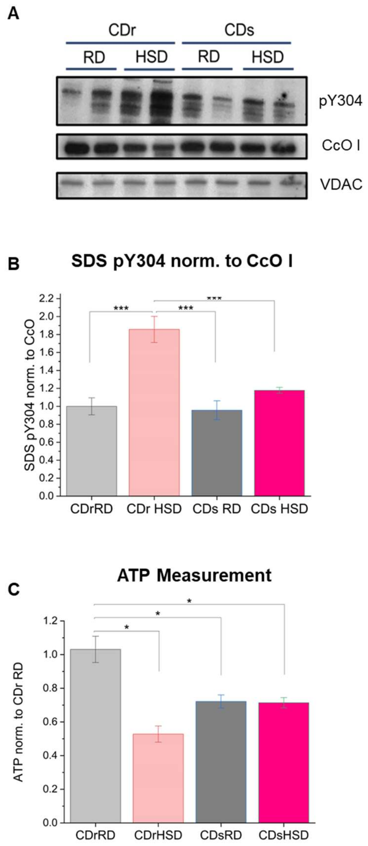 Antioxidants 13 00019 g006