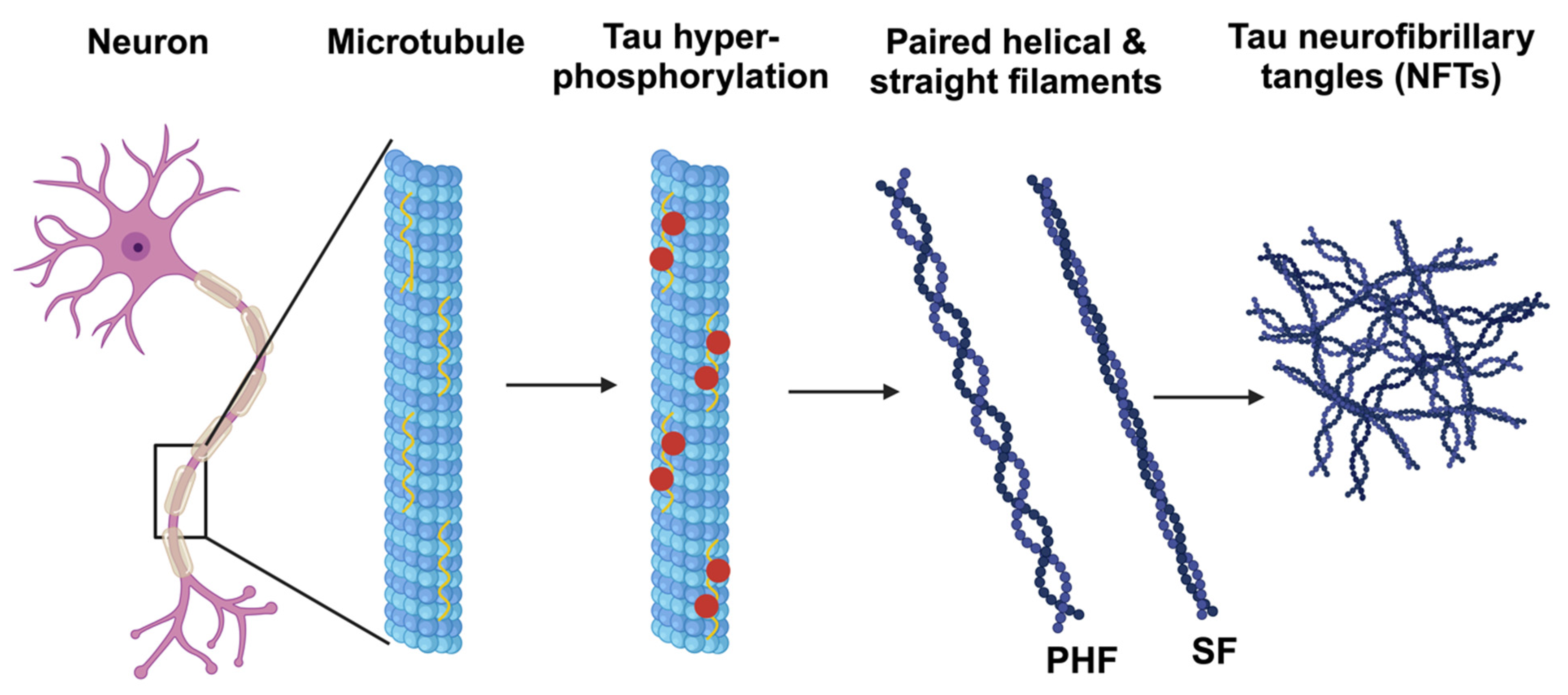 Antioxidants 13 00021 g001