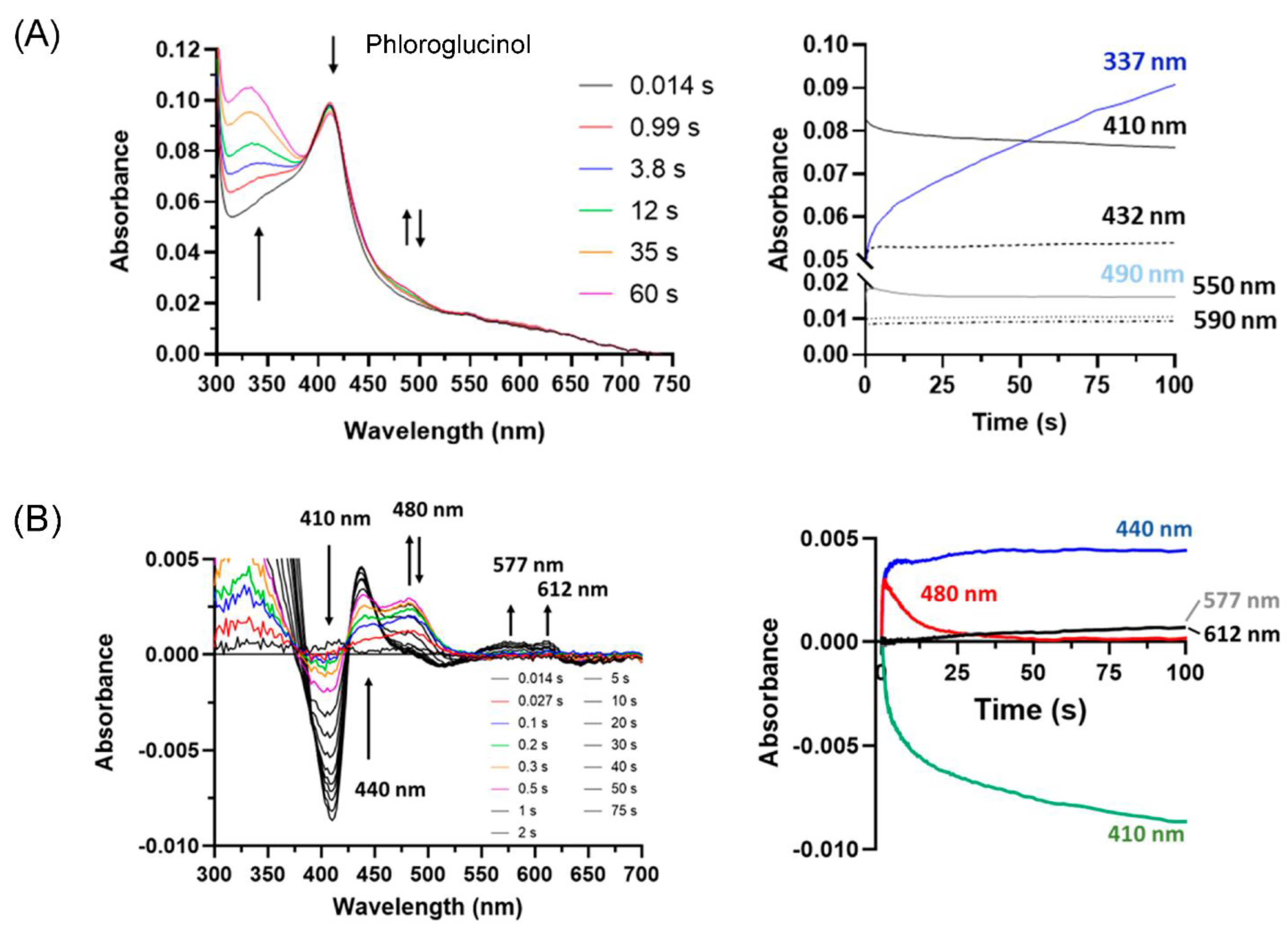 Antioxidants 13 00023 g007