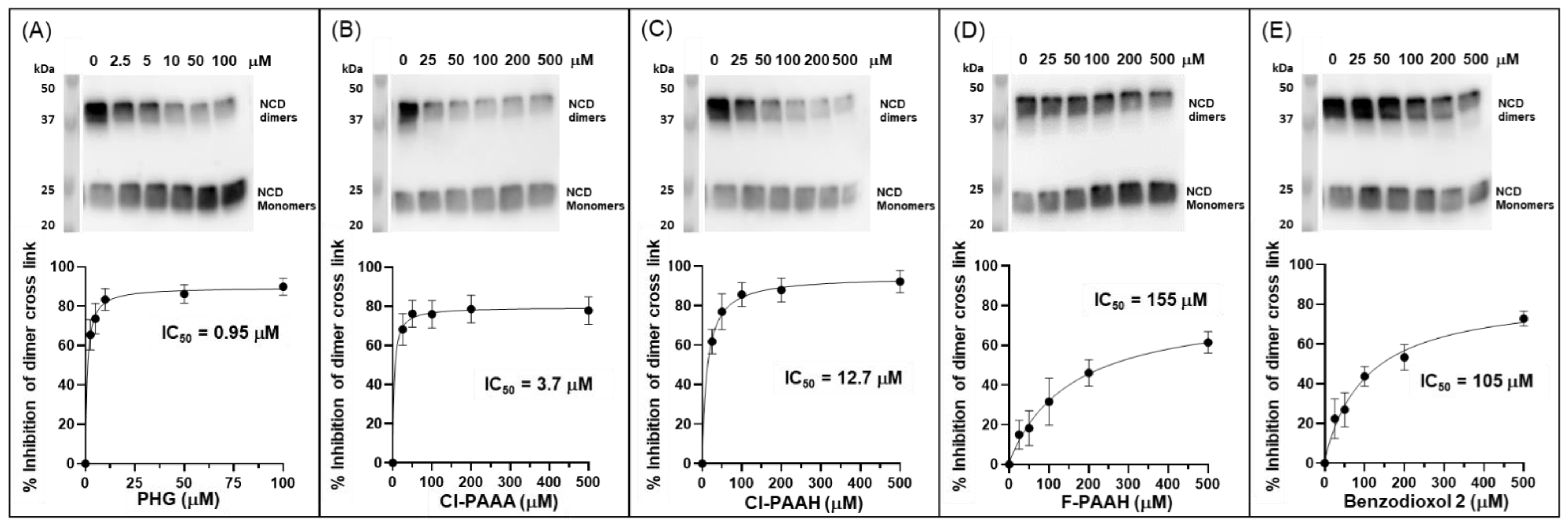 Antioxidants 13 00023 g008