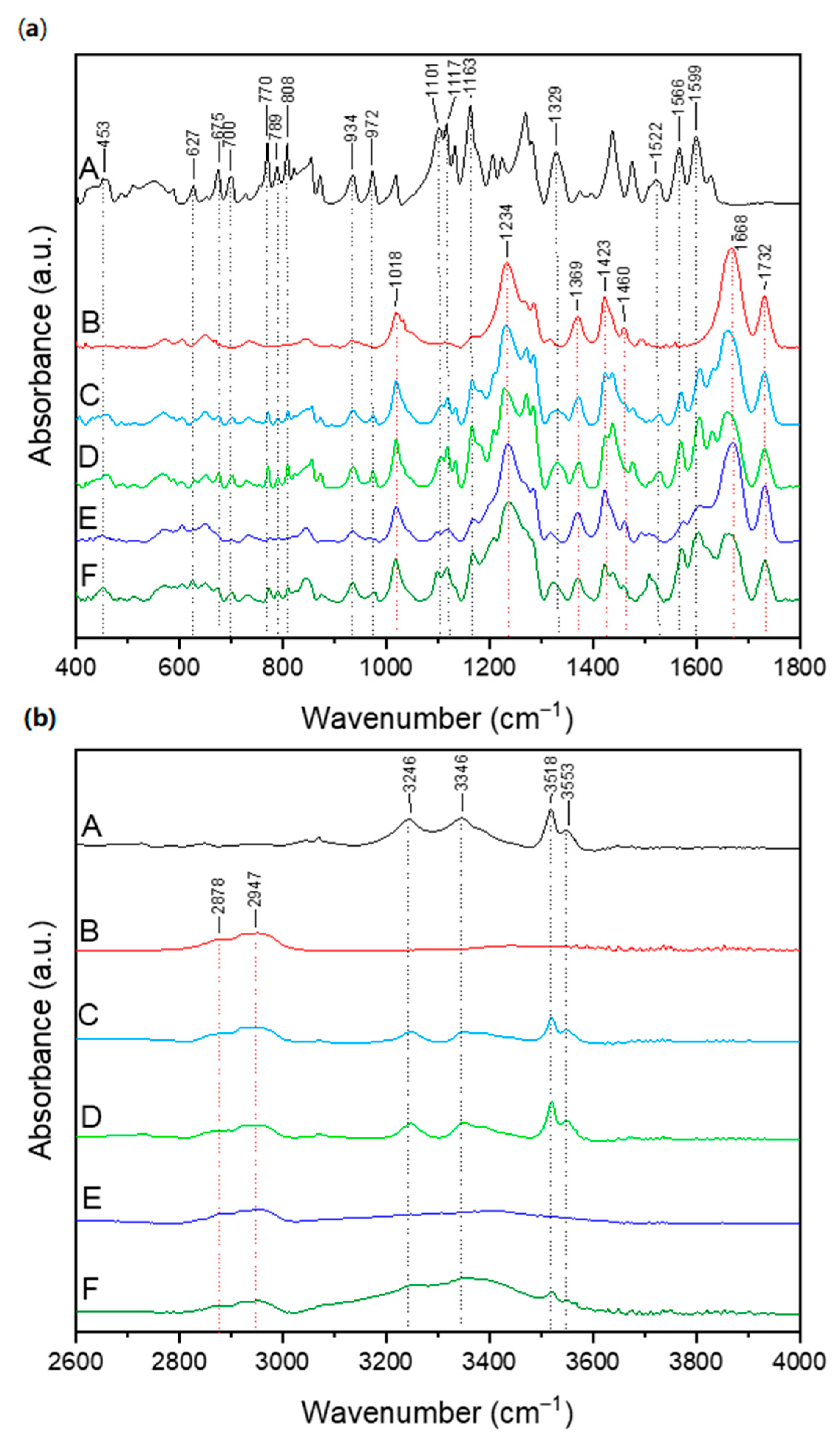 Antioxidants 13 00024 g003