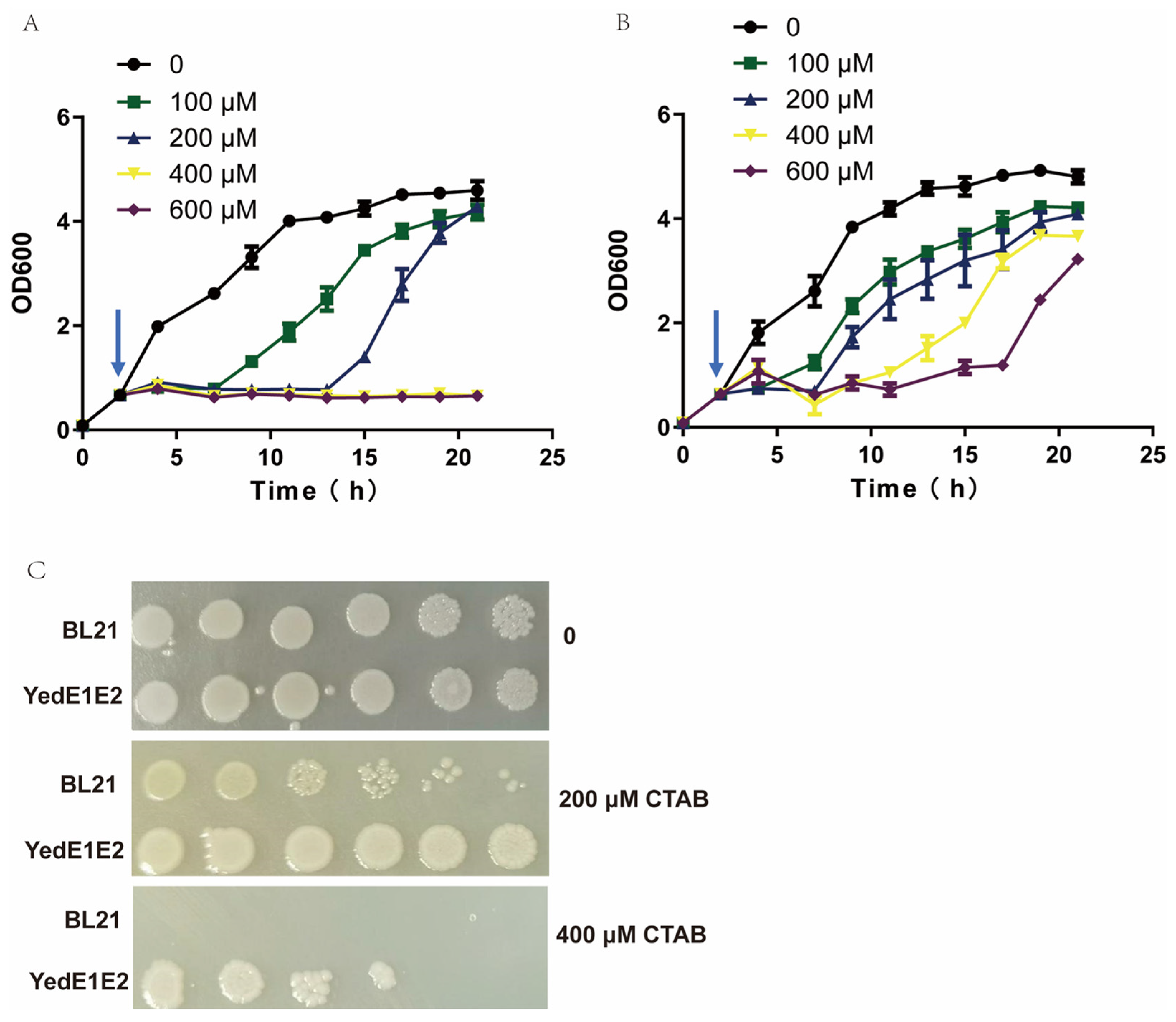Antioxidants 13 00027 g002