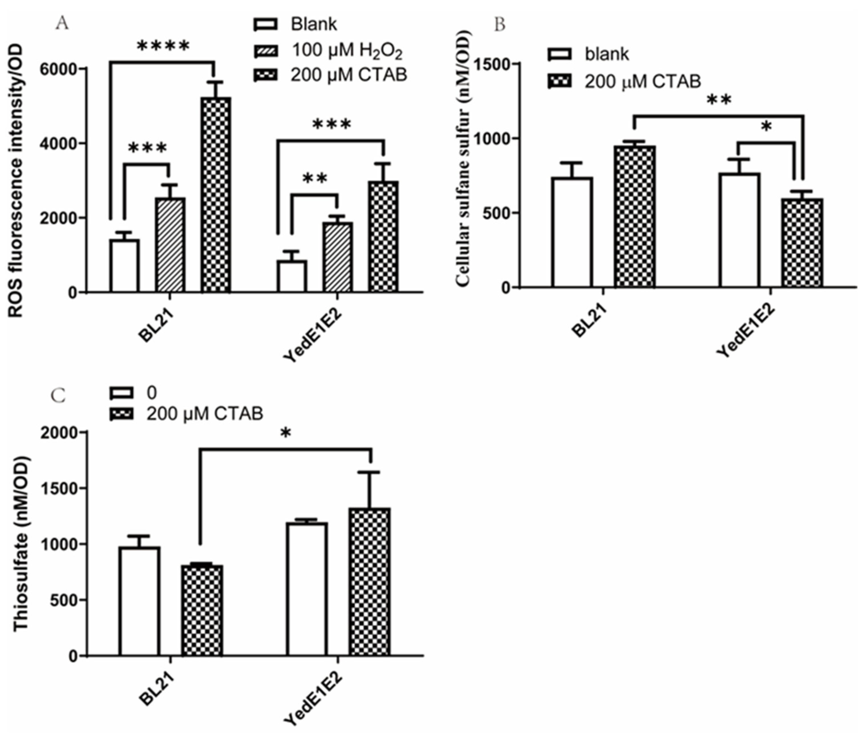 Antioxidants 13 00027 g003