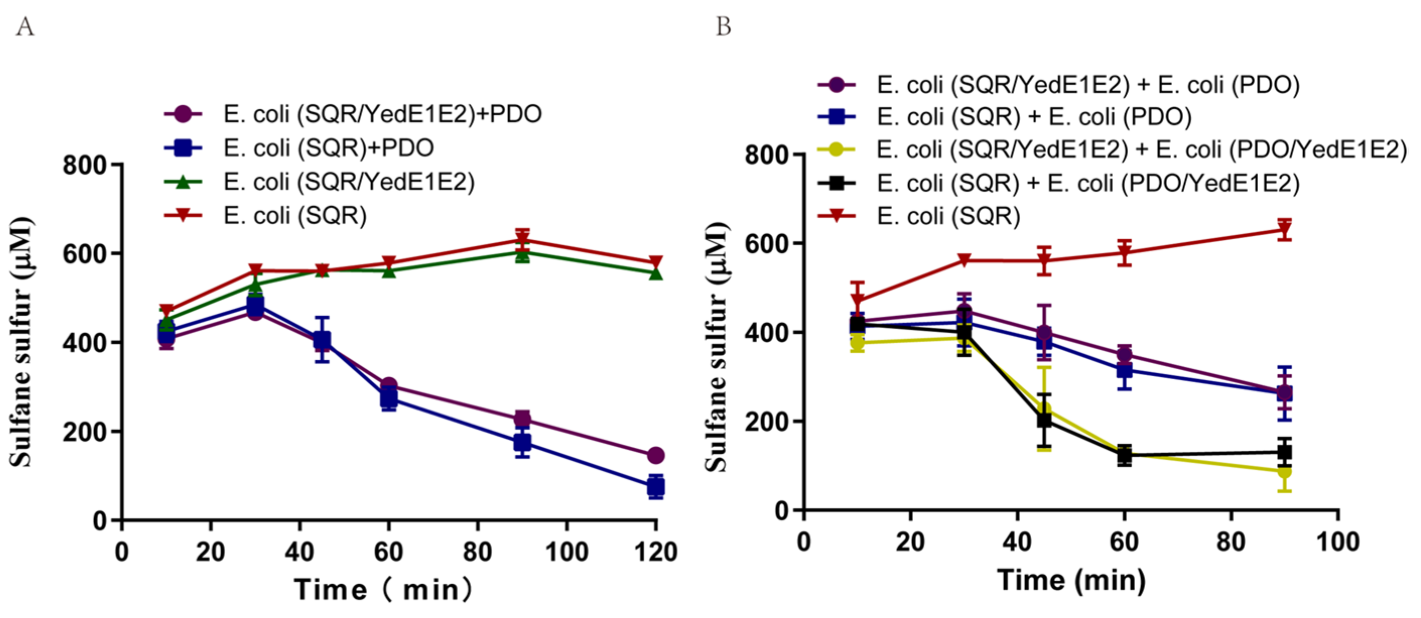 Antioxidants 13 00027 g006