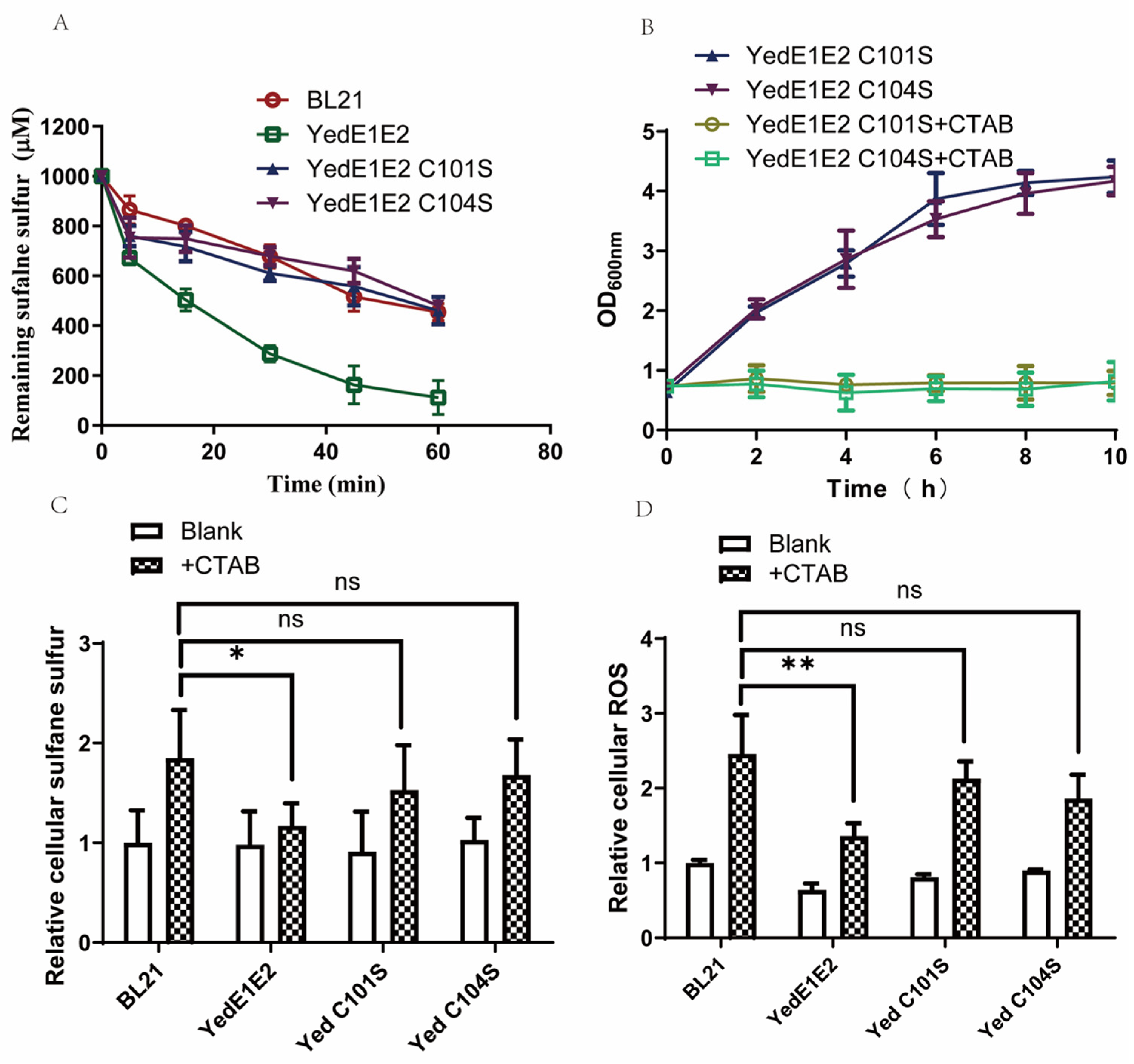 Antioxidants 13 00027 g008