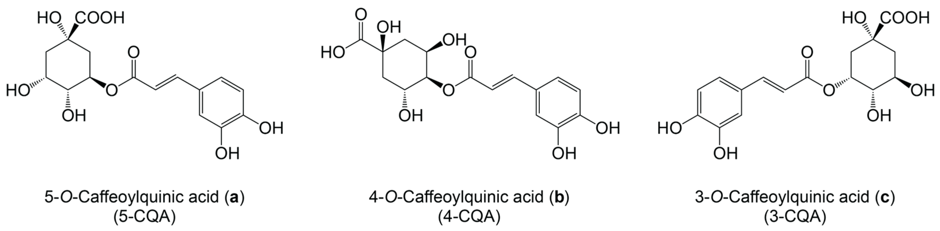 Antioxidants 13 00029 g002