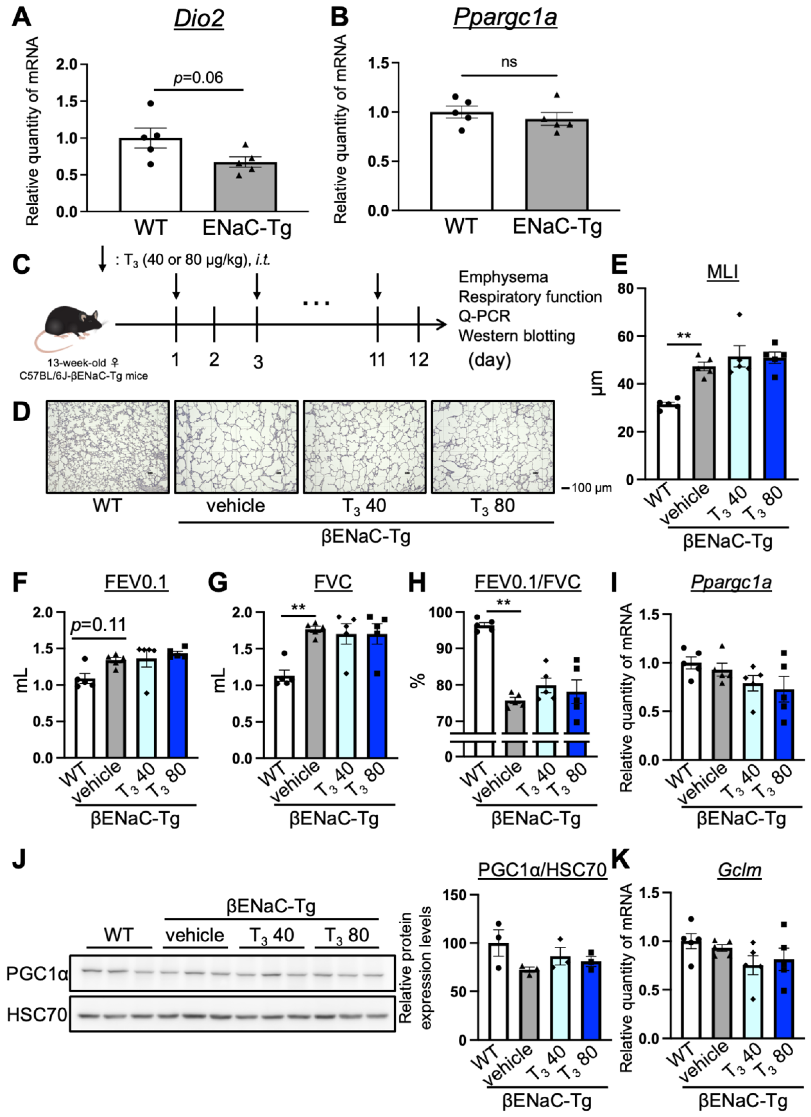 Antioxidants 13 00030 g003
