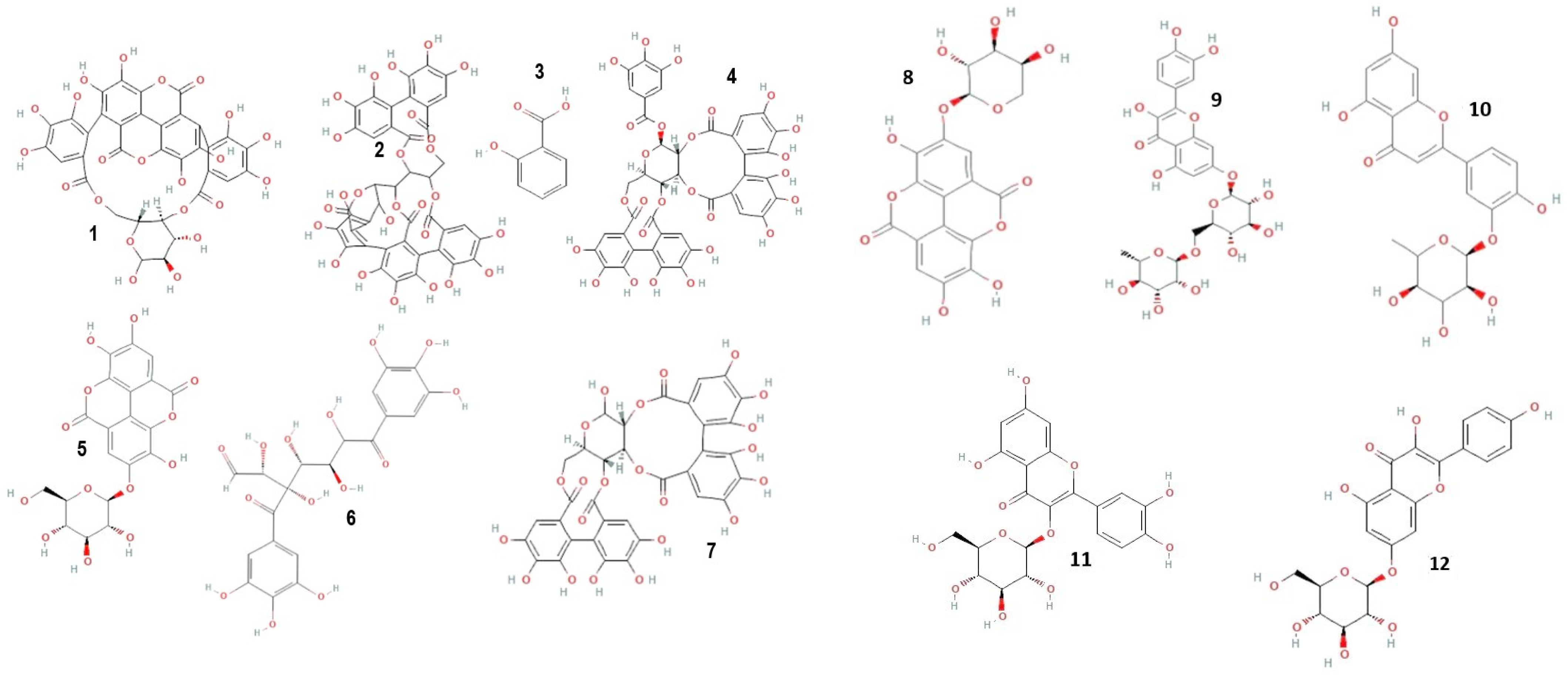 Antioxidants 13 00031 g001