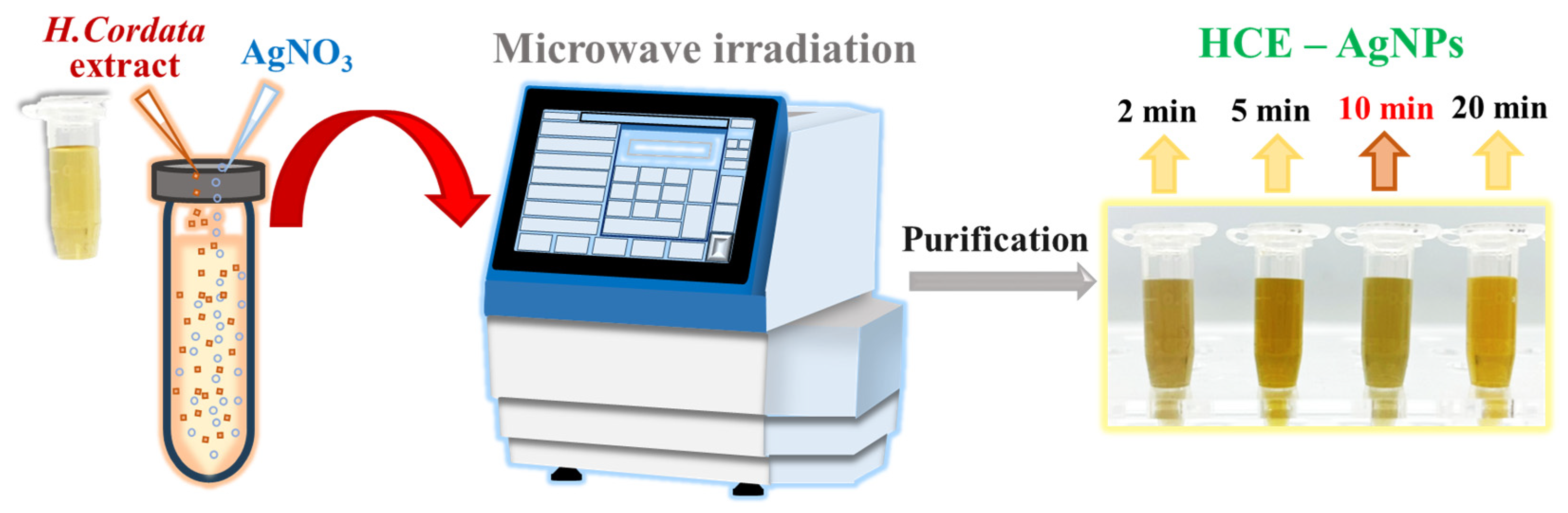 Antioxidants 13 00032 sch001