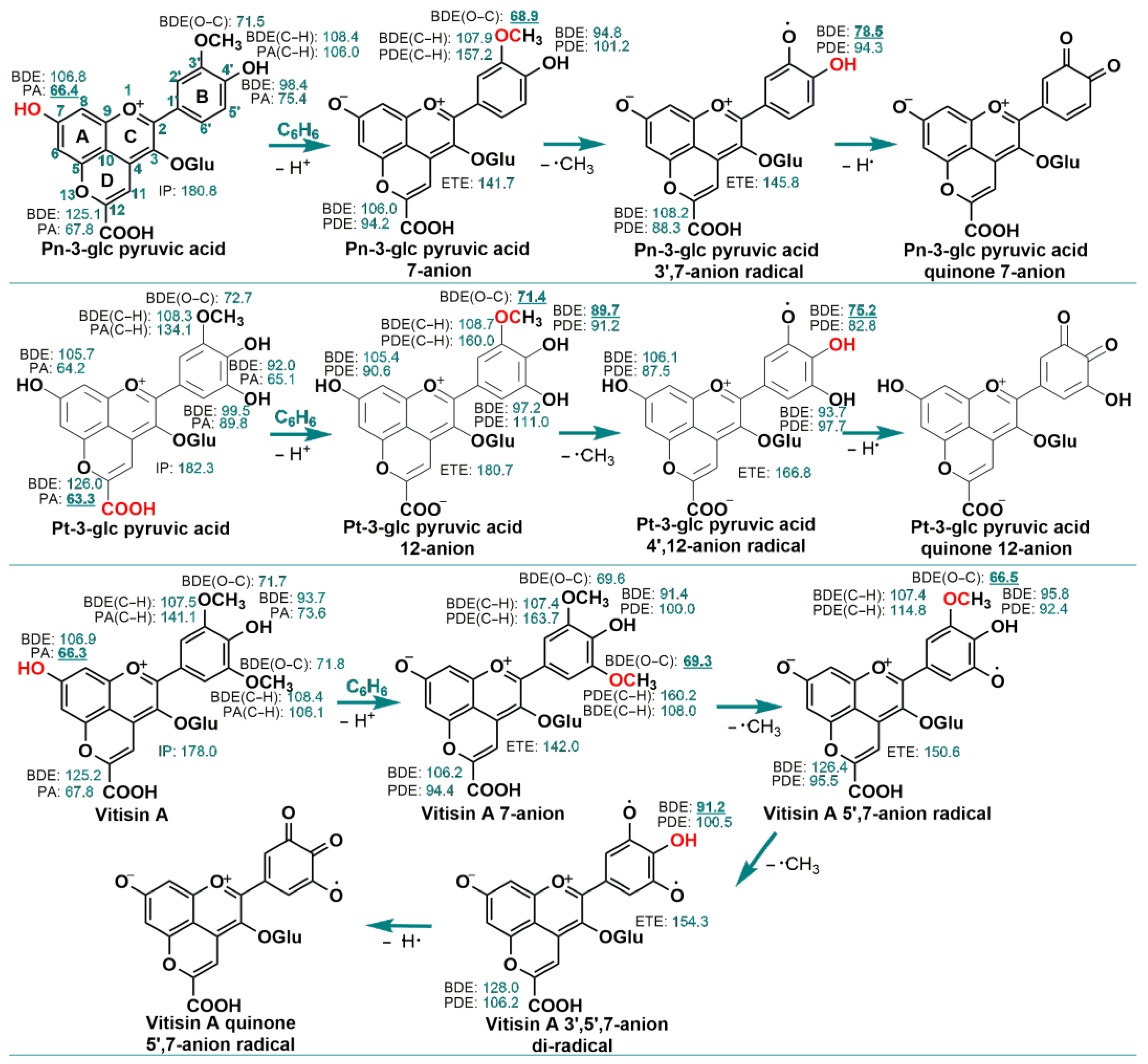 Antioxidants 13 00033 g003