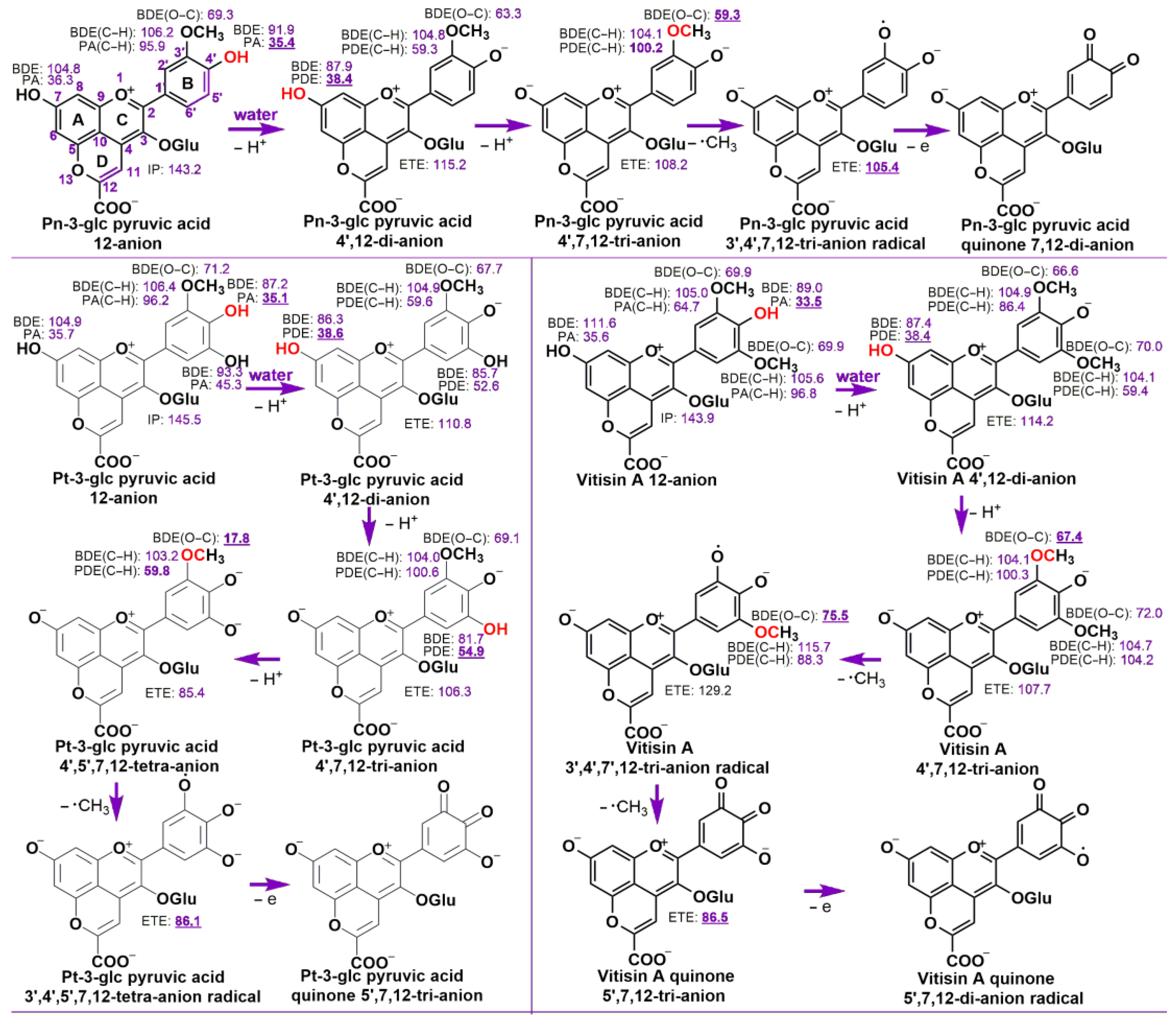 Antioxidants 13 00033 g004