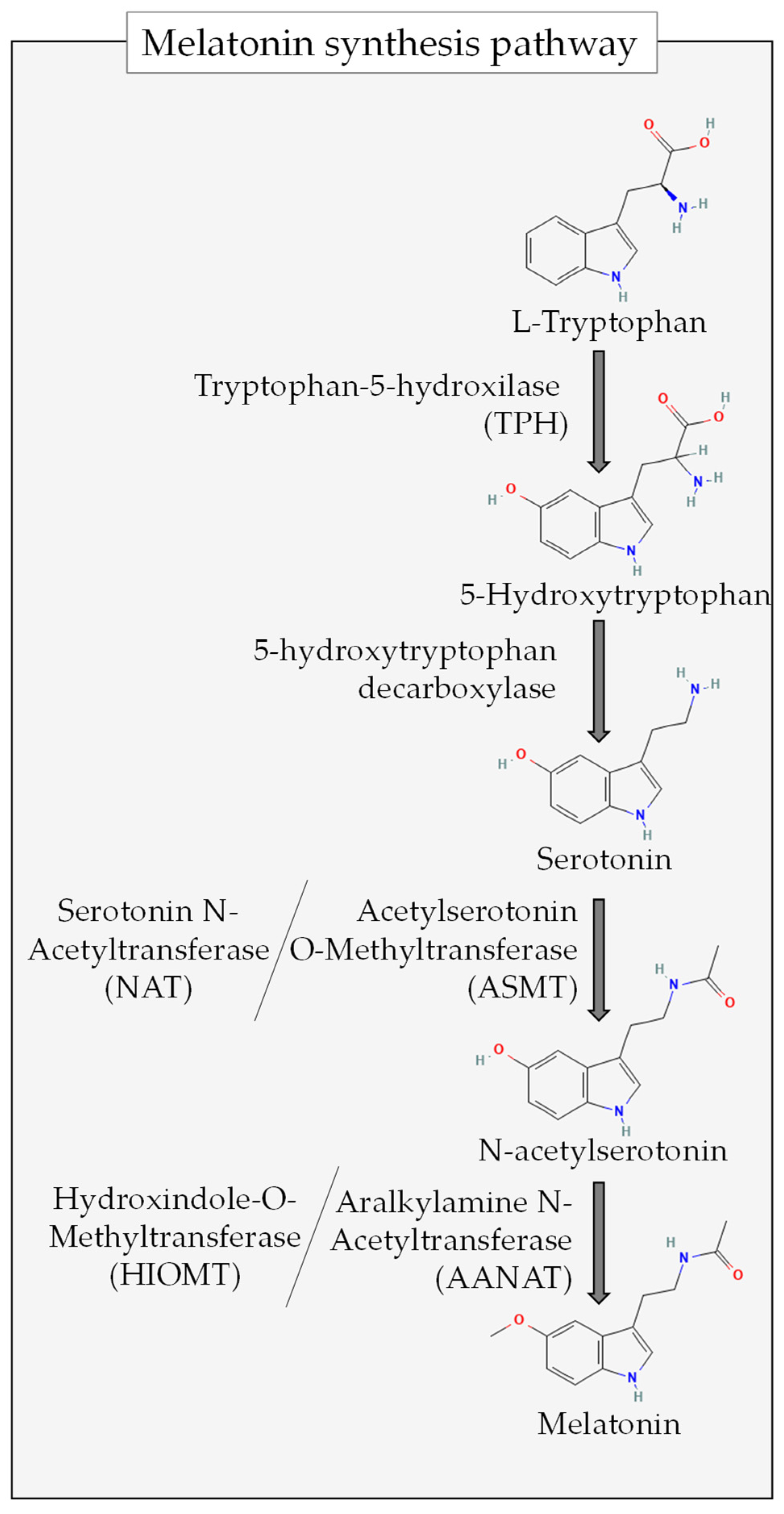 Antioxidants 13 00034 g002