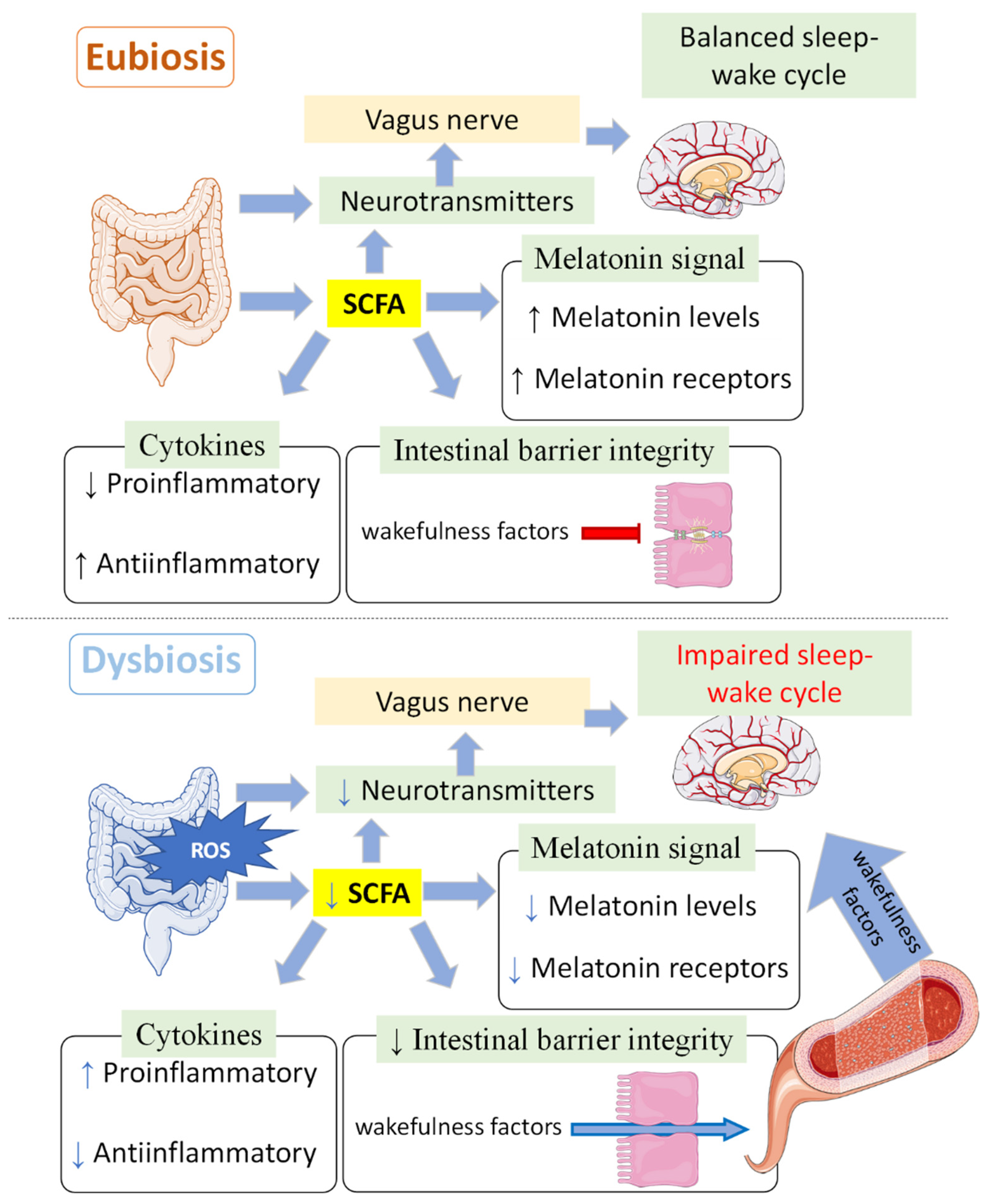 Antioxidants 13 00034 g003