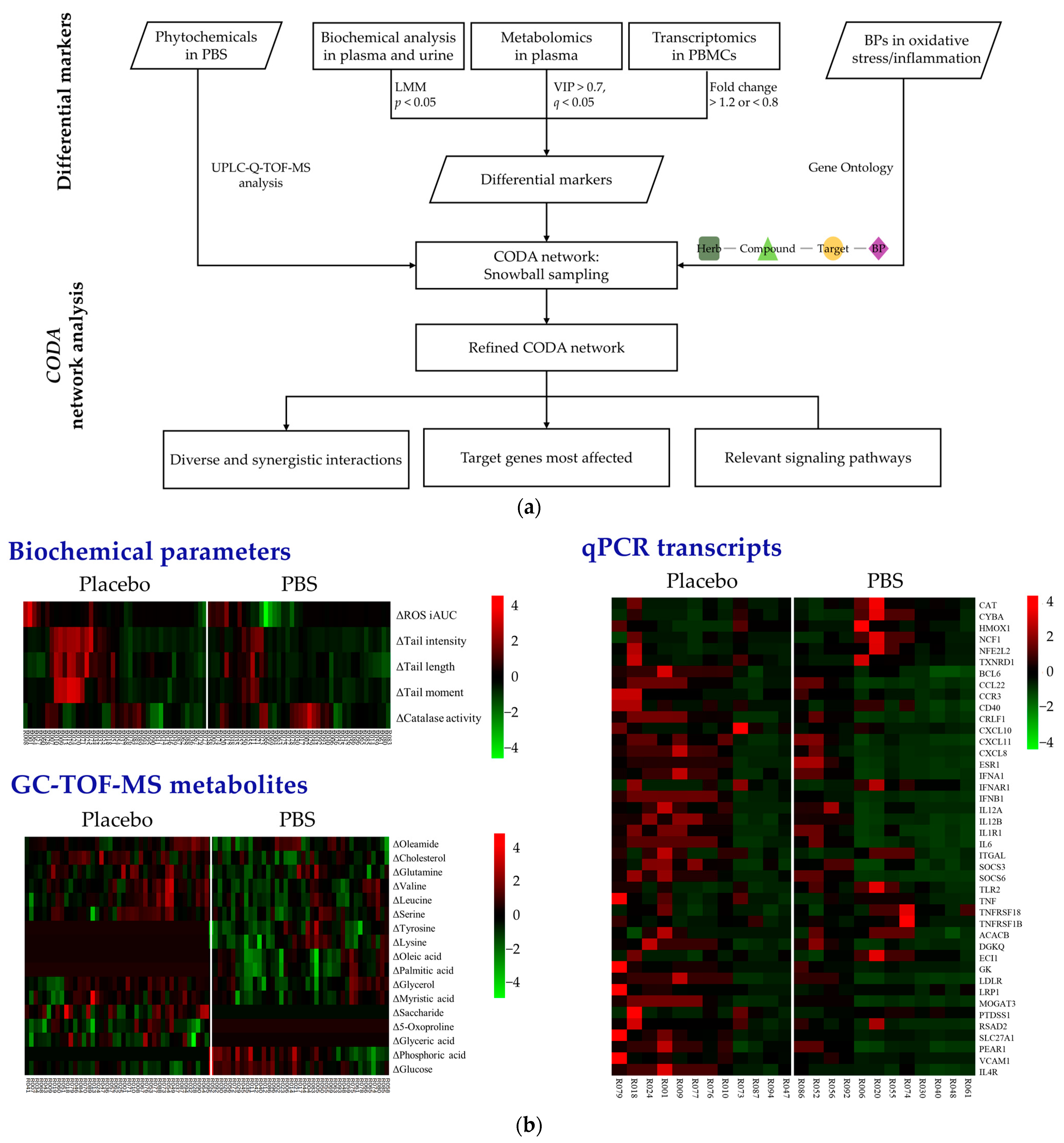 Antioxidants 13 00036 g002