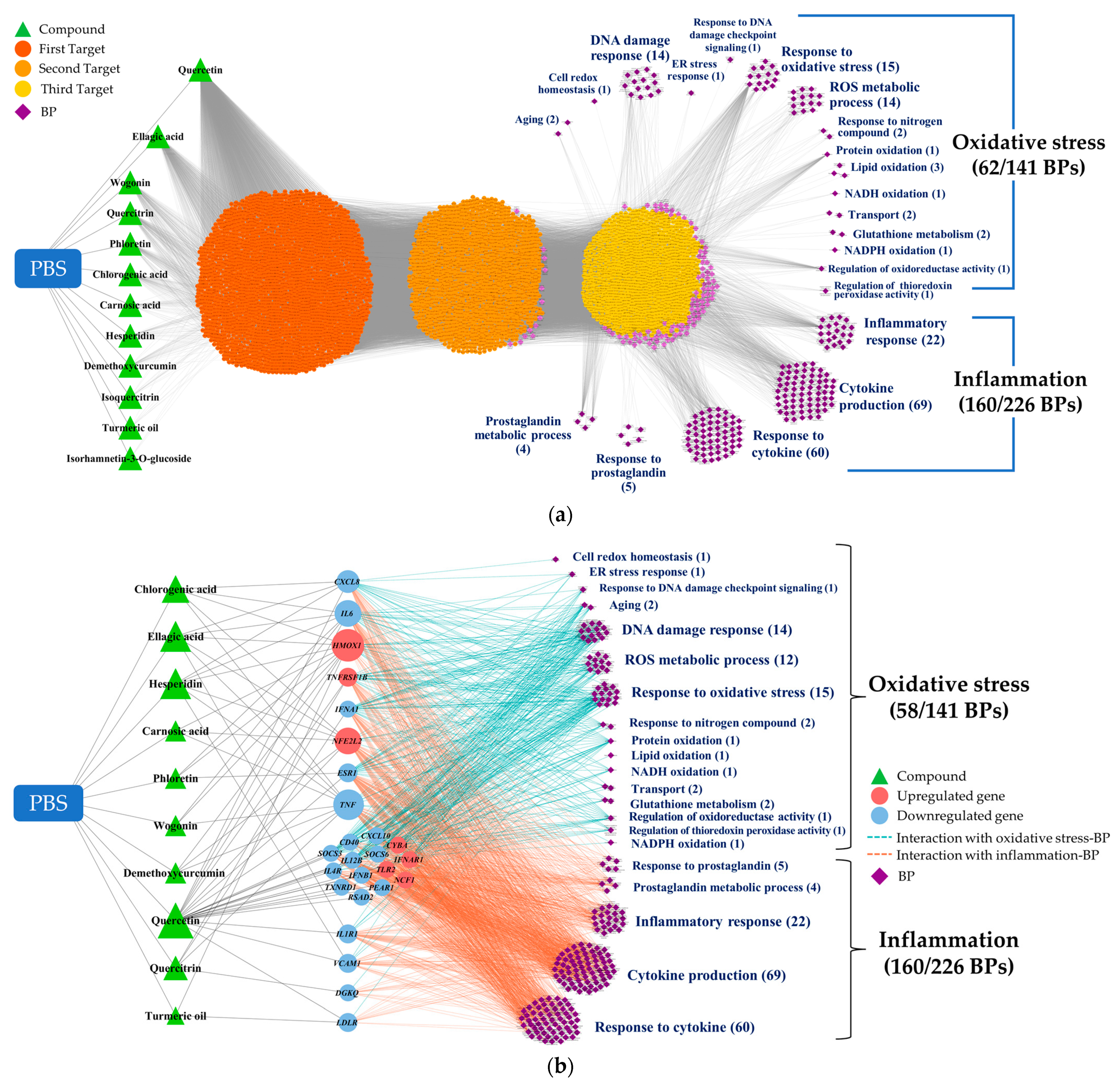 Antioxidants 13 00036 g003
