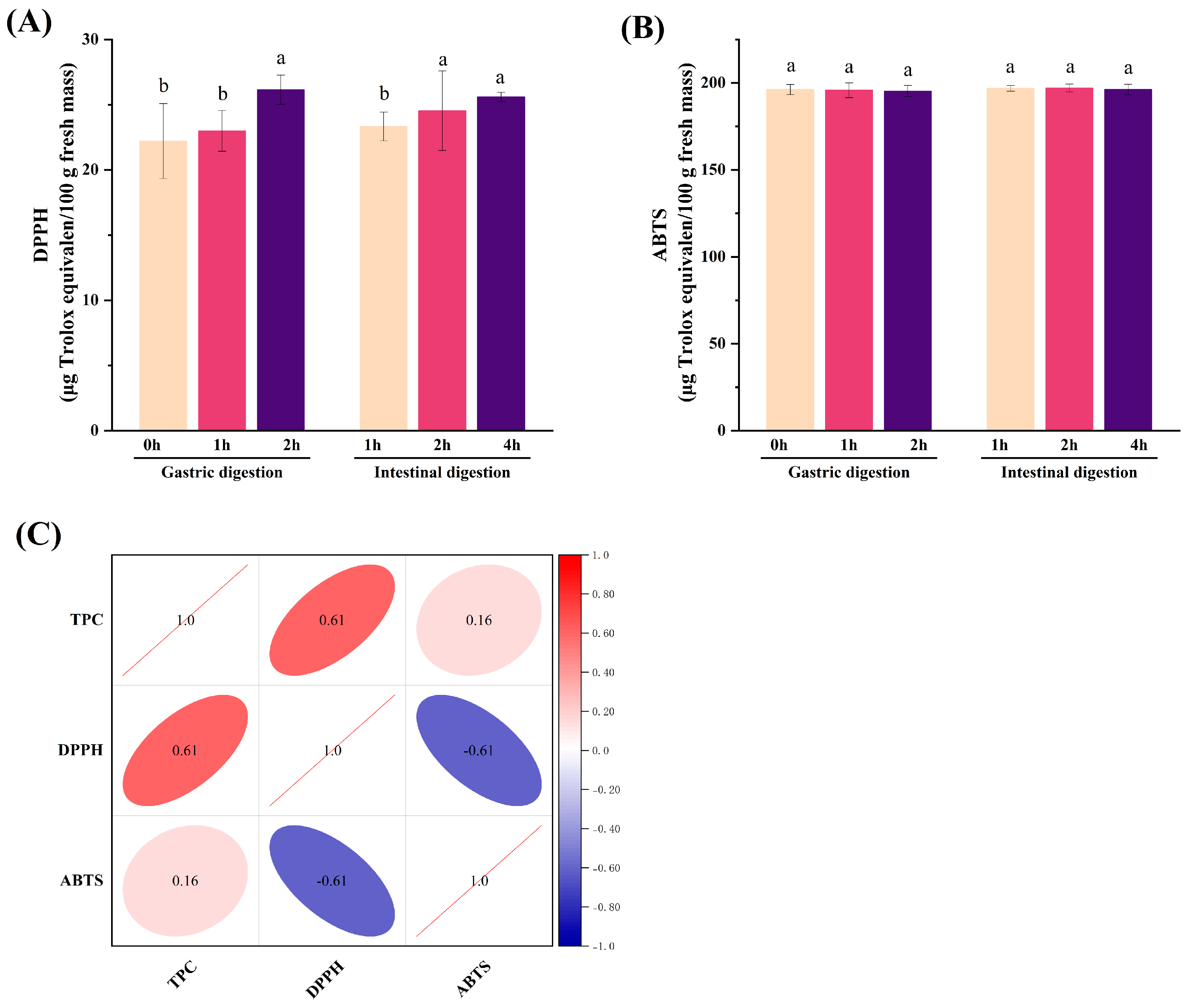 Antioxidants 13 00037 g004