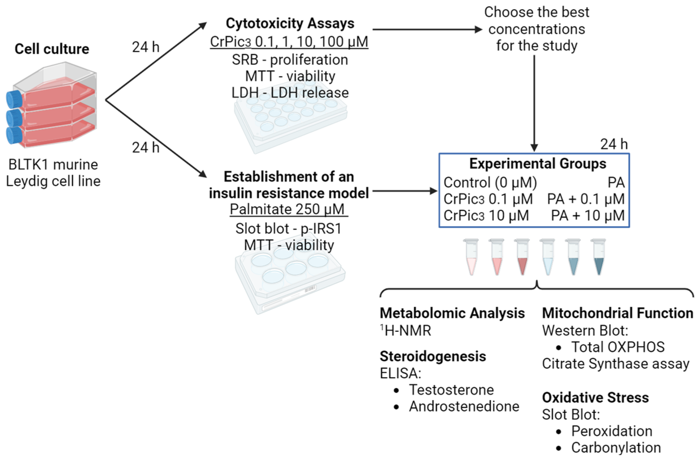 Antioxidants 13 00040 g001