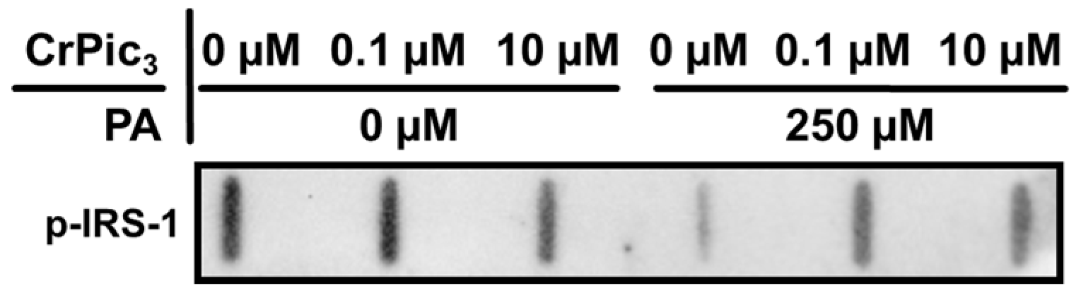 Antioxidants 13 00040 g0a1