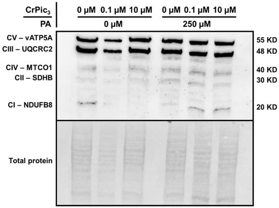 Antioxidants 13 00040 g0a2