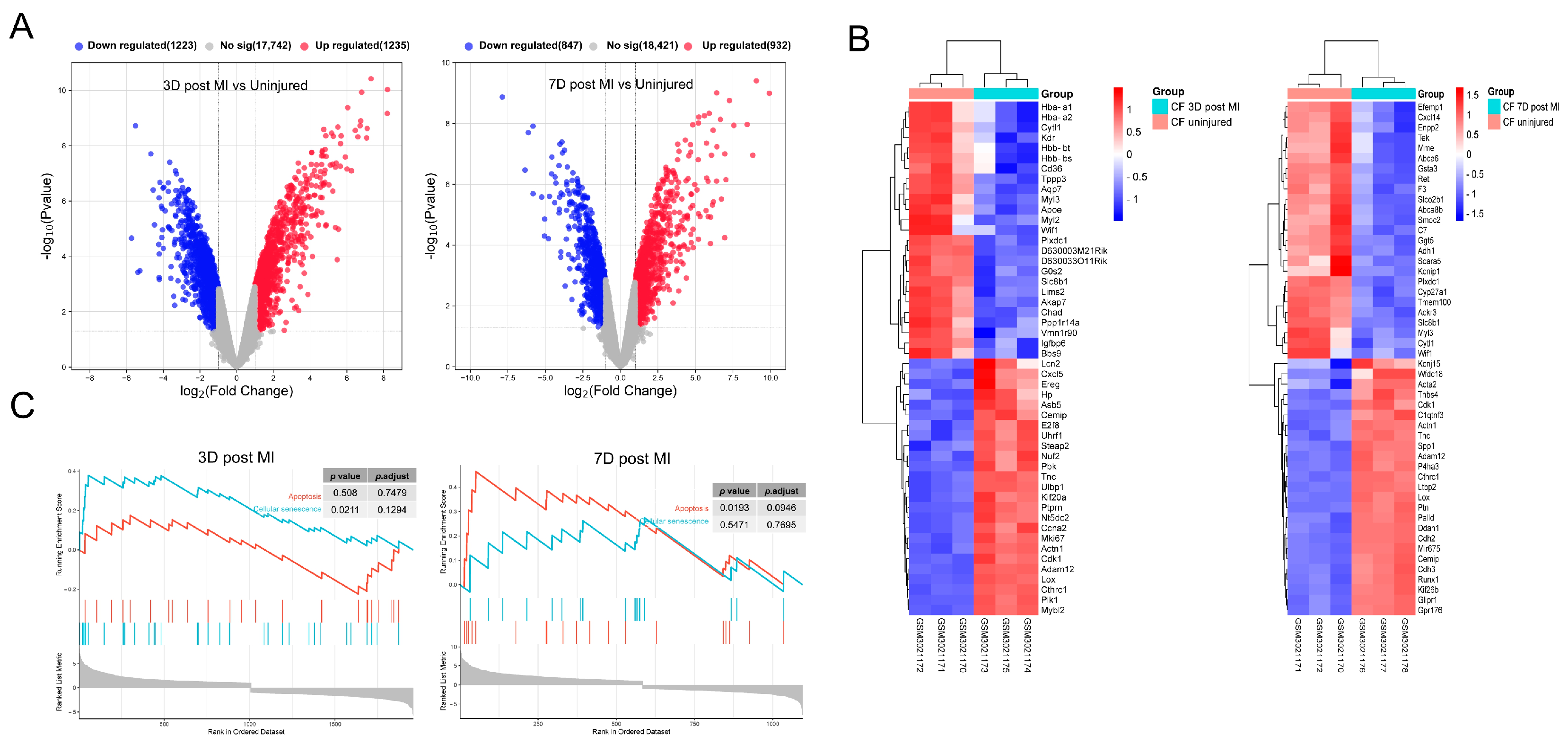 Antioxidants 13 00042 g001