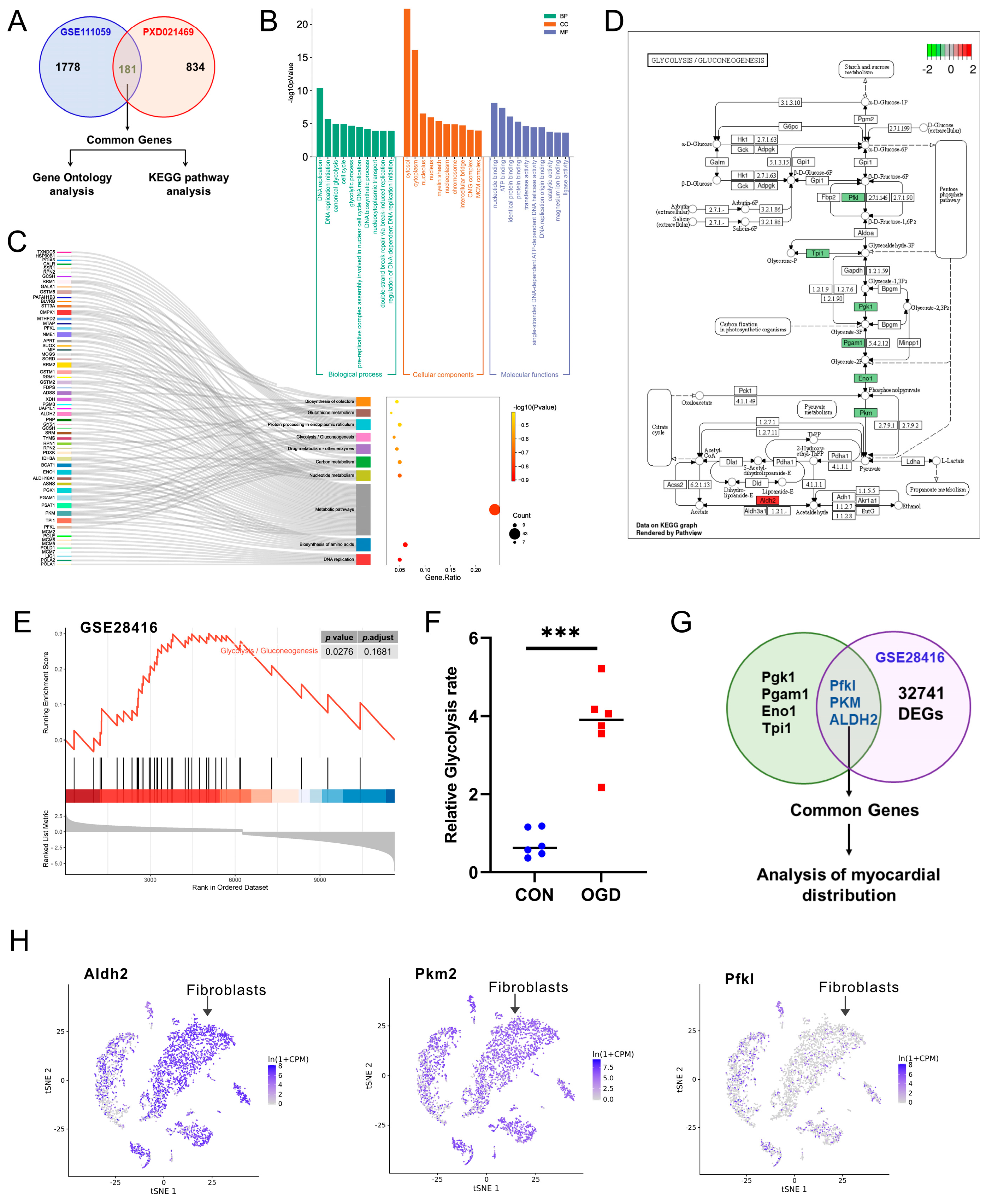 Antioxidants 13 00042 g003