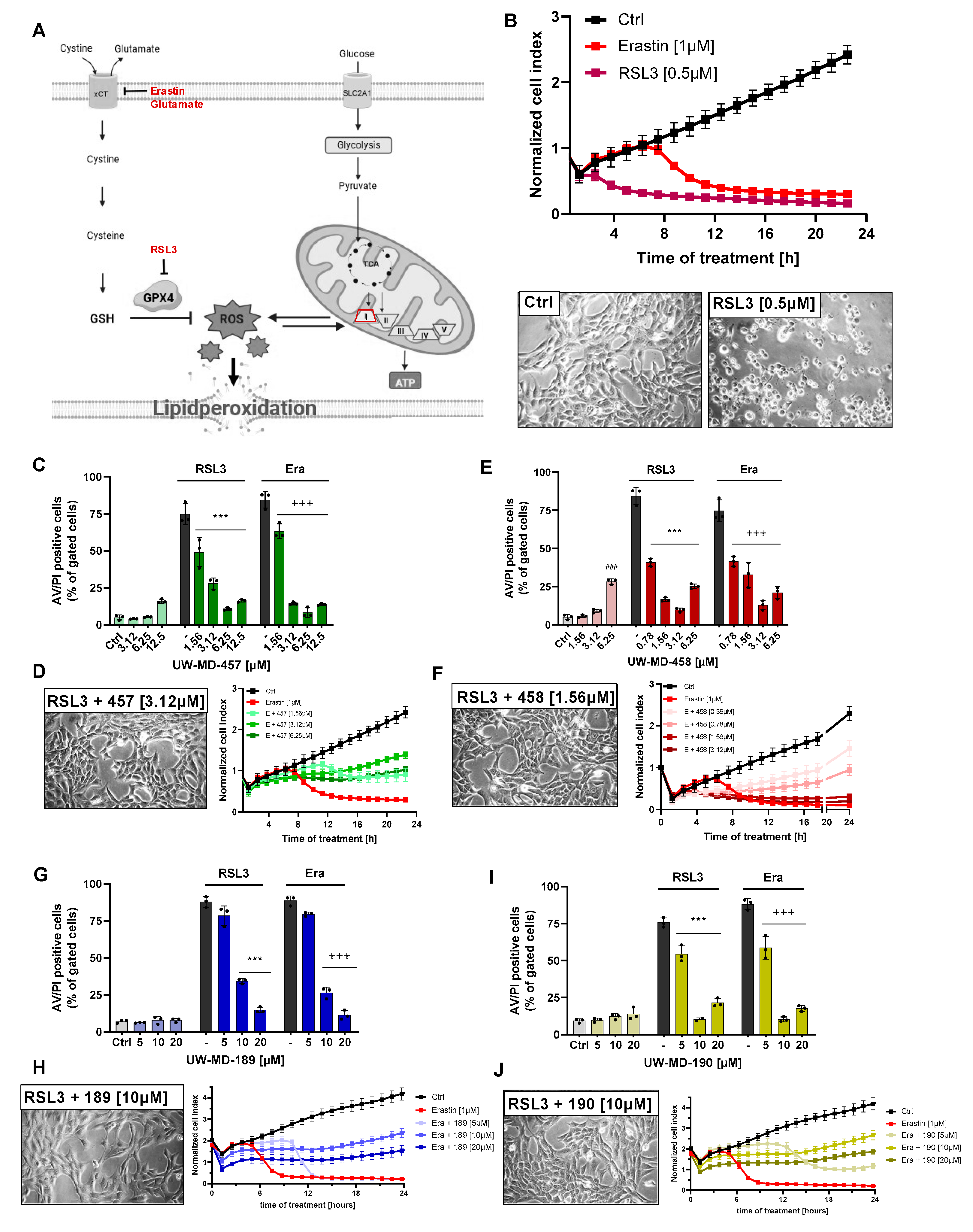 Antioxidants 13 00044 g002