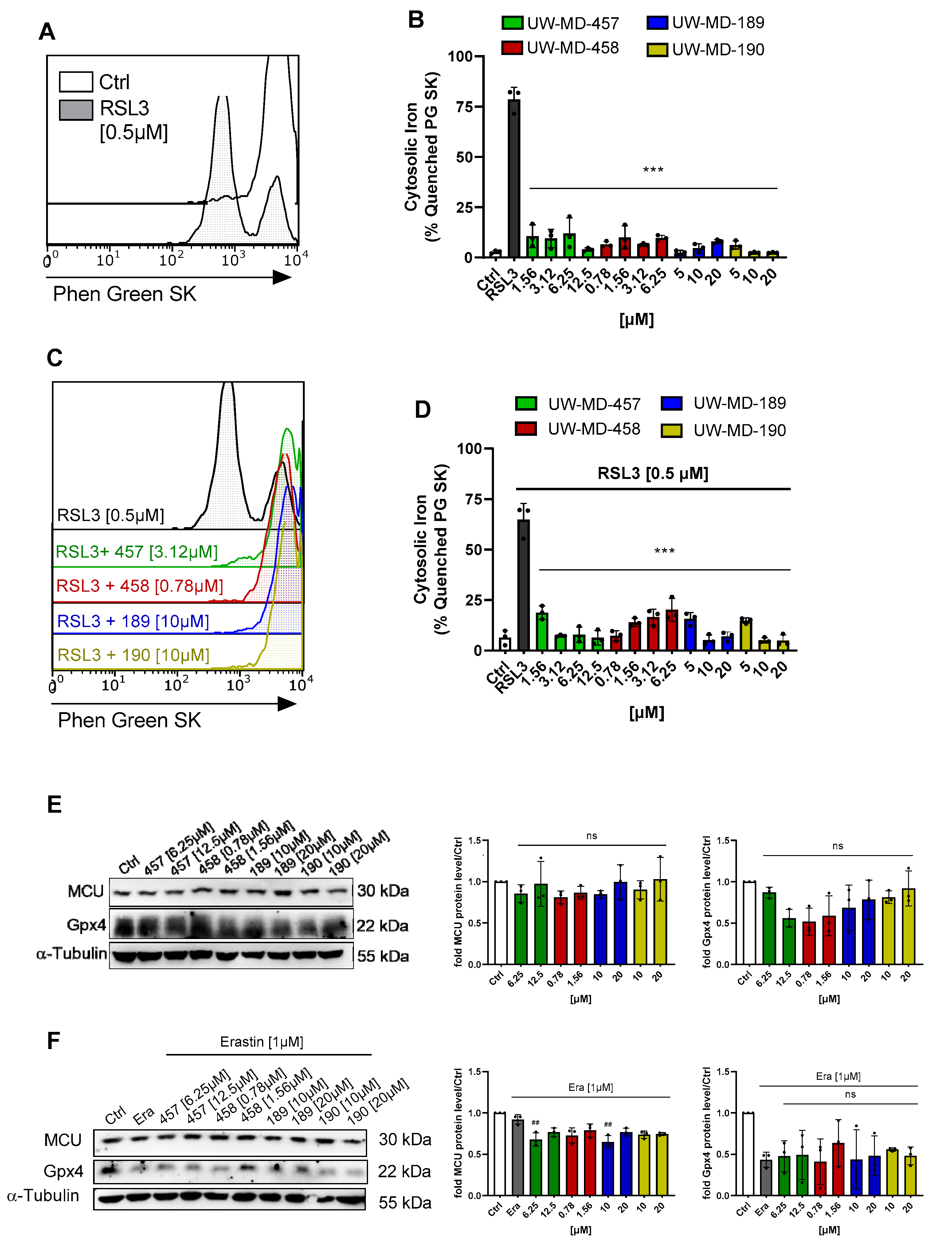 Antioxidants 13 00044 g006