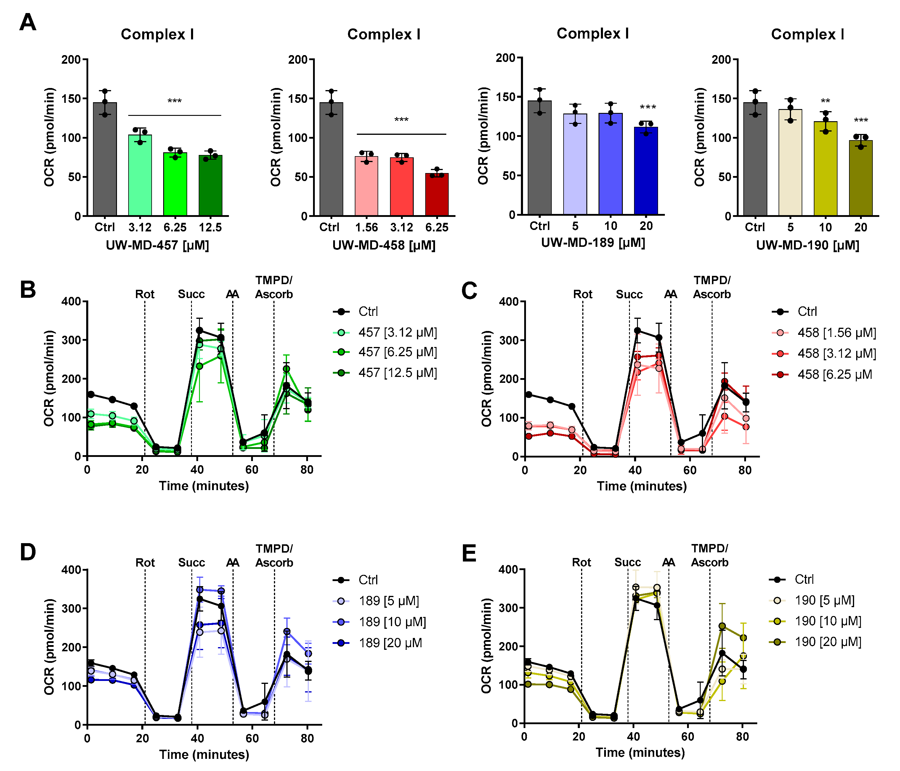 Antioxidants 13 00044 g009